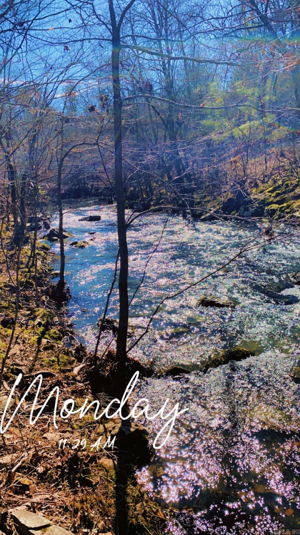 Tract S  Polk Road 31  Cove, AR