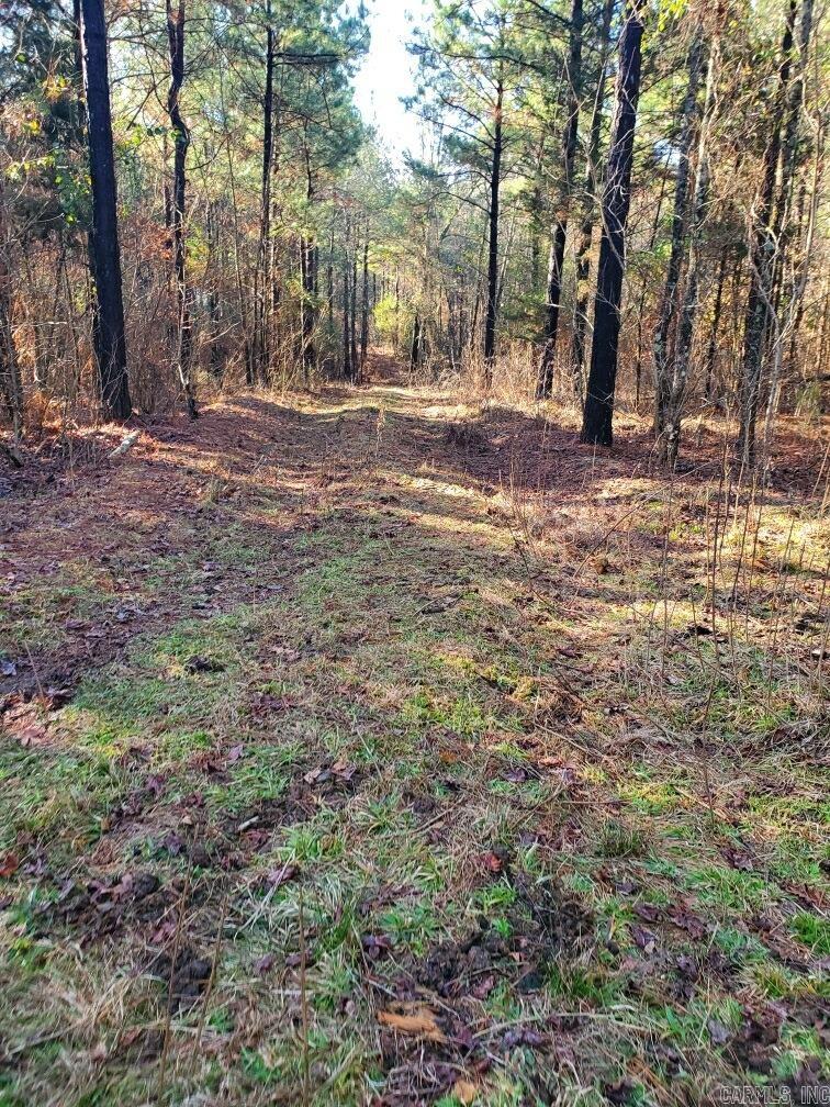Tract S  Polk Road 31  Cove, AR