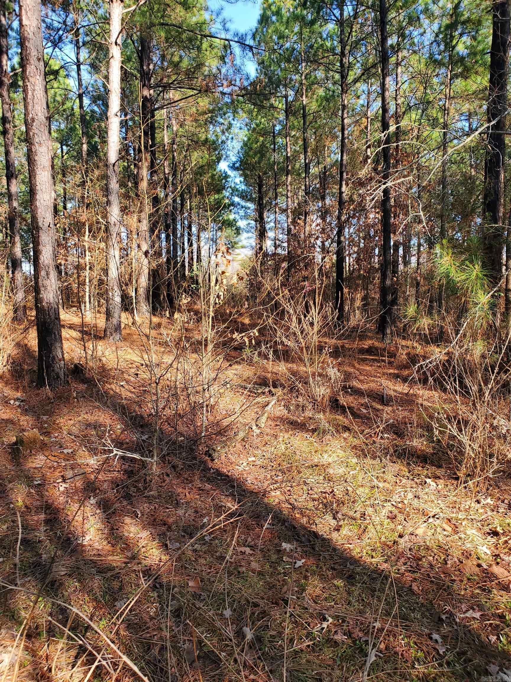 Tract S  Polk Road 31  Cove, AR