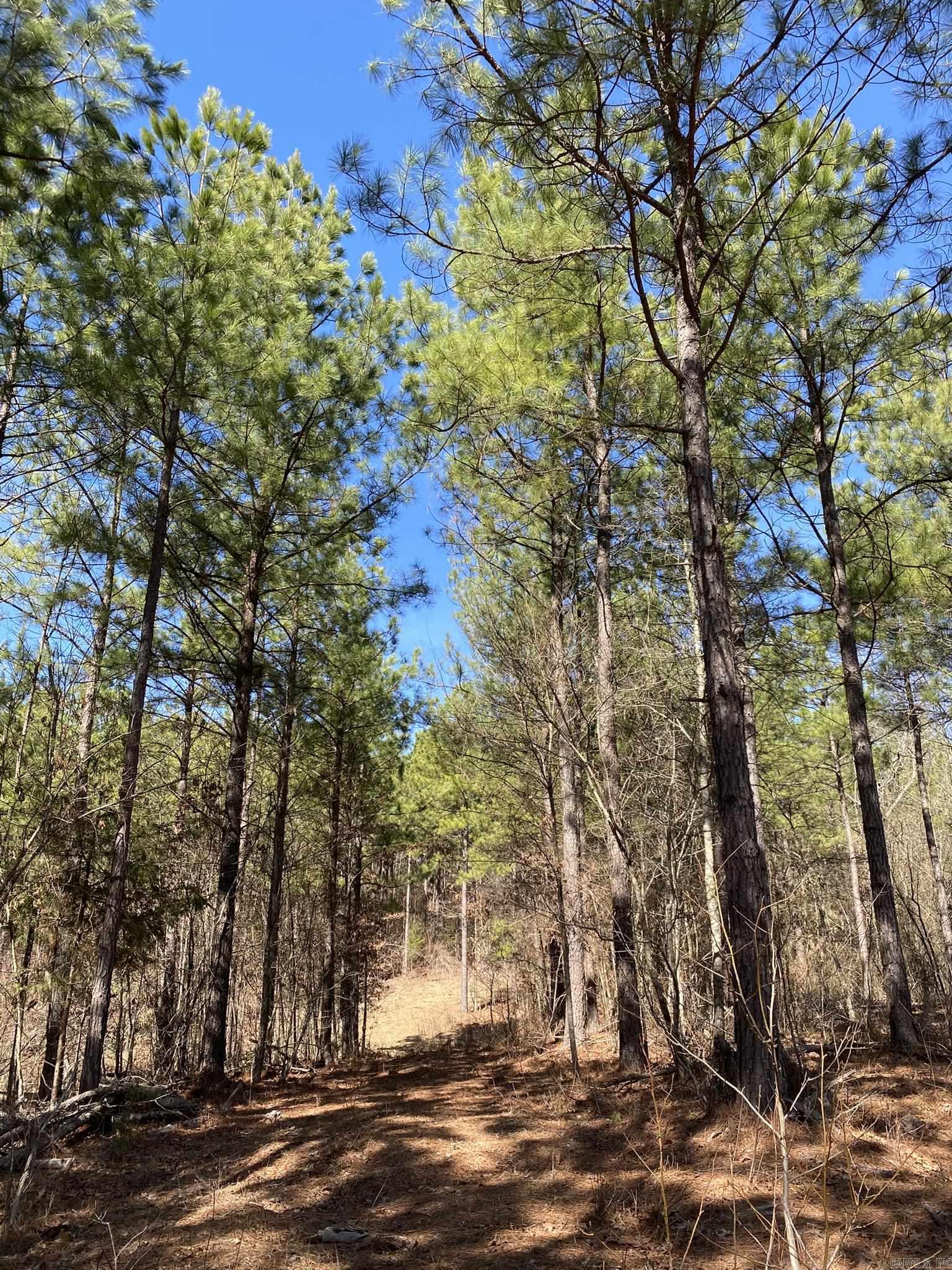 Tract S  Polk Road 31  Cove, AR