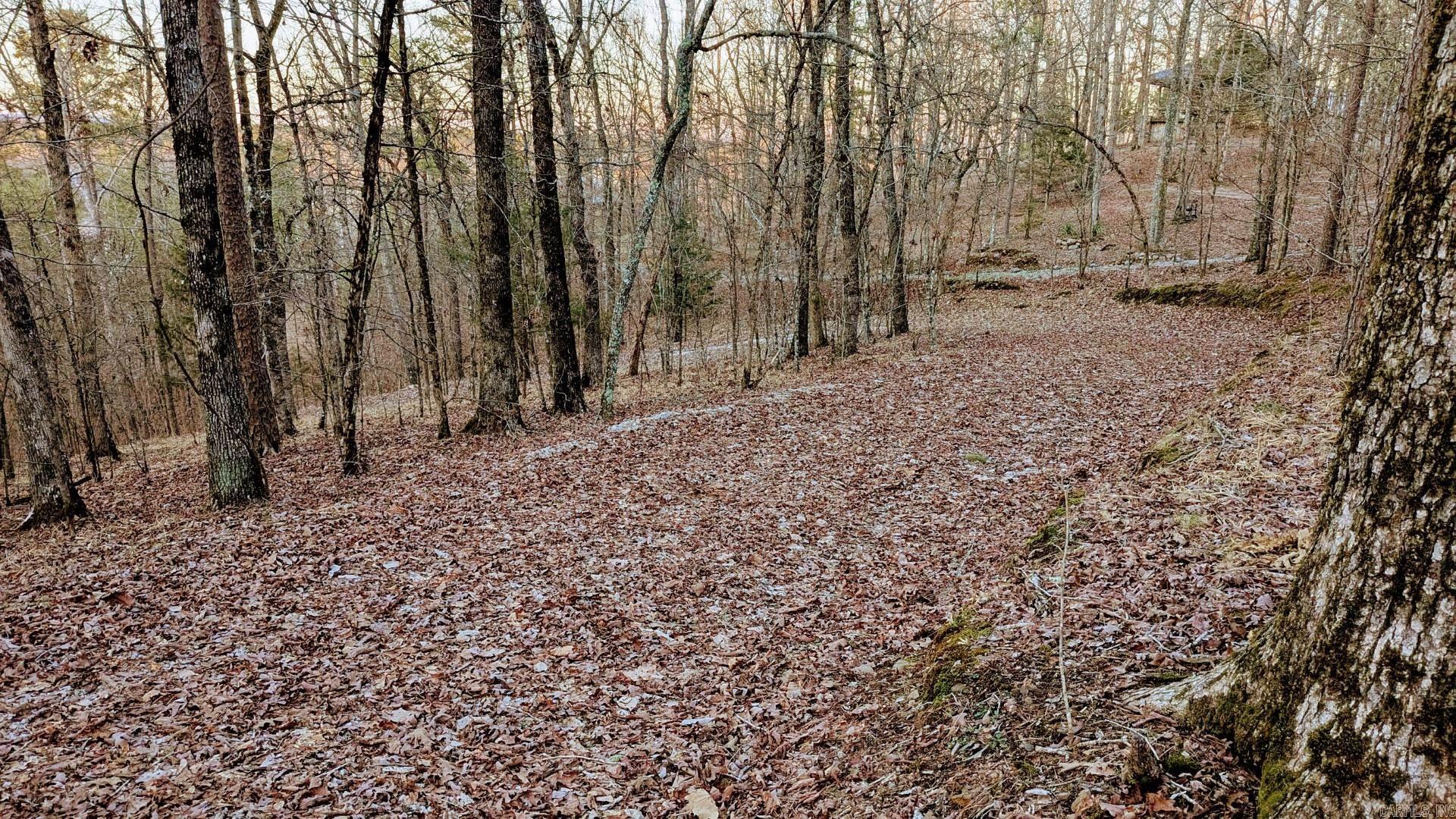 TBD  Woodview  Royal, AR