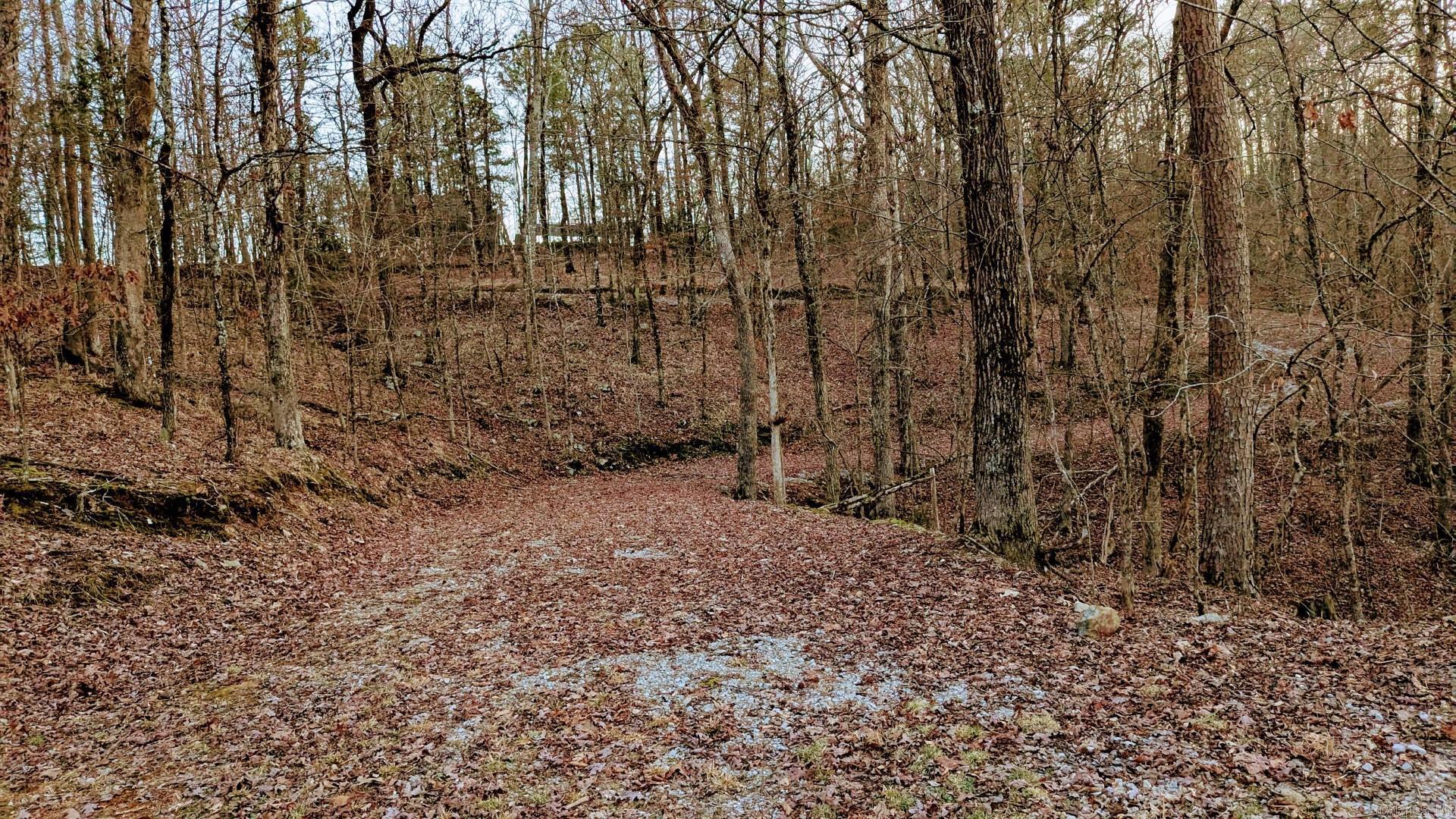 TBD  Woodview  Royal, AR