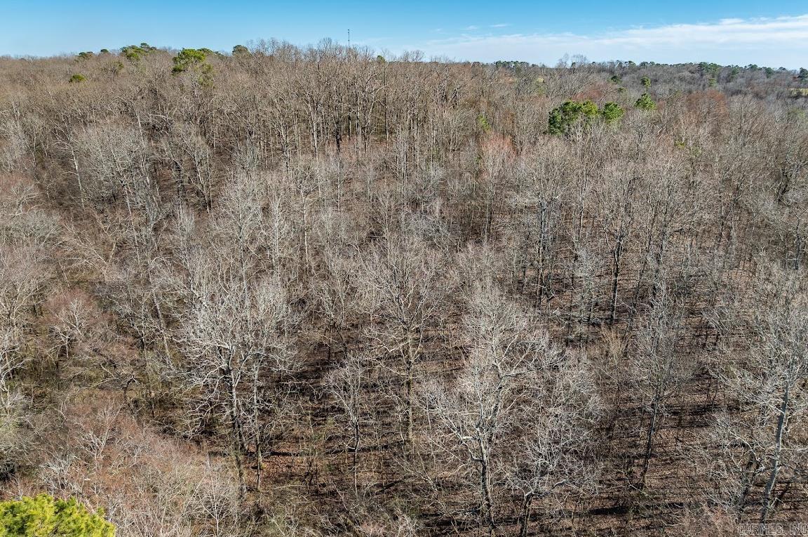 0000  Valley Road  Gillham, AR