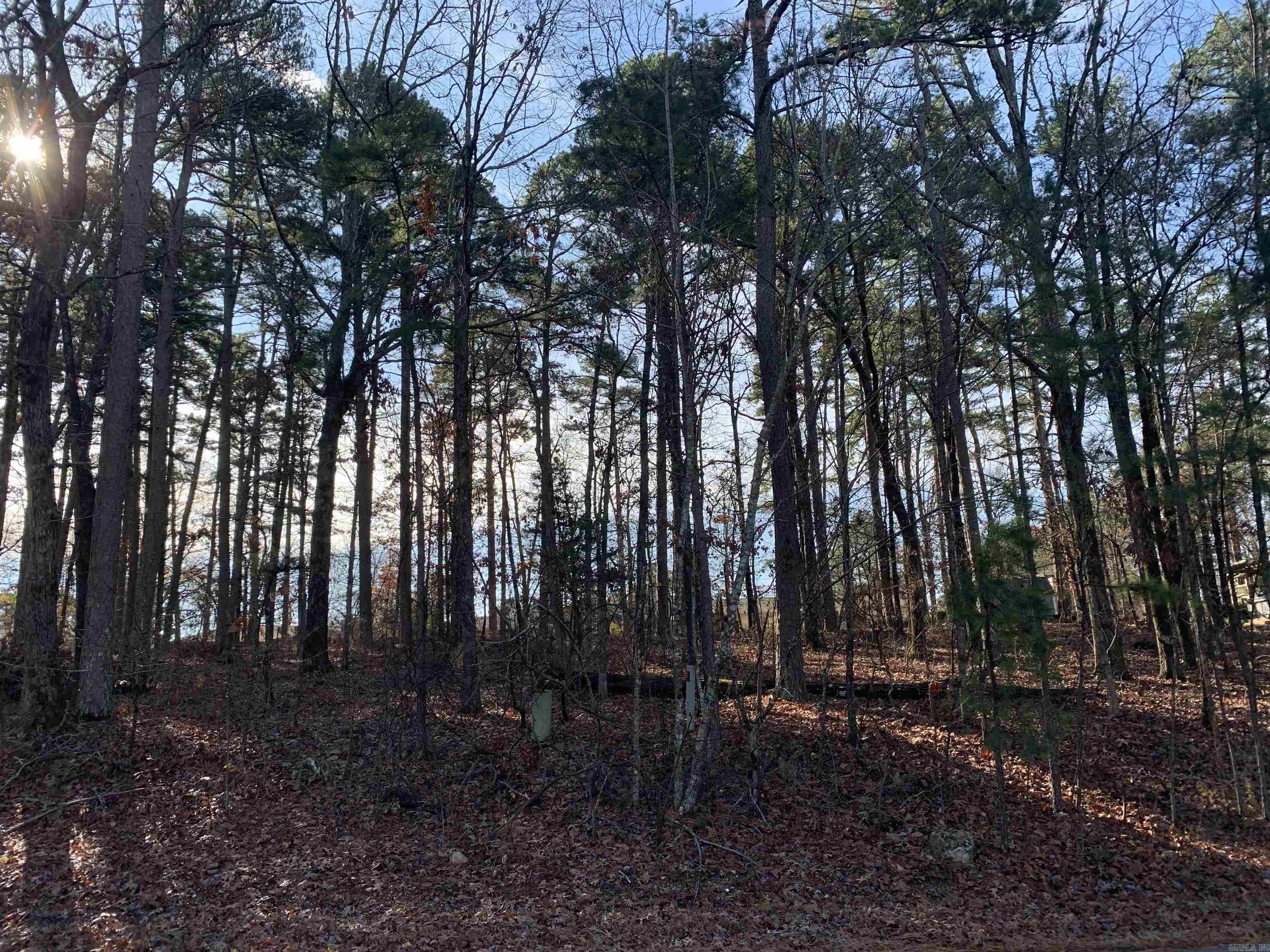 27  Alicante rd  Hot Springs Village, AR