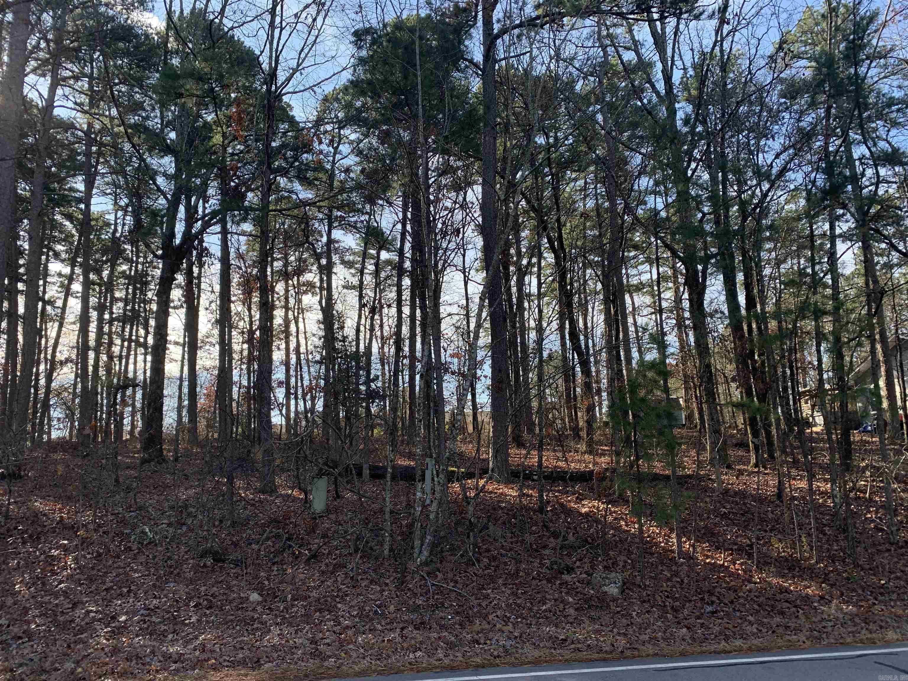 27  Alicante rd  Hot Springs Village, AR