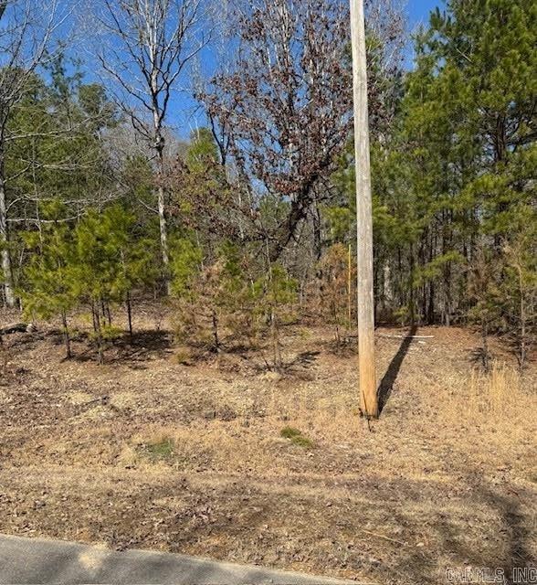 205  Red Hawk Circle  Paron, AR