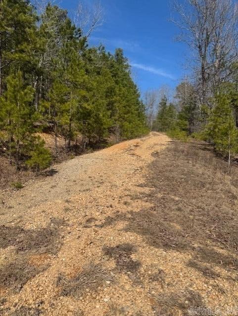 205  Red Hawk Circle  Paron, AR