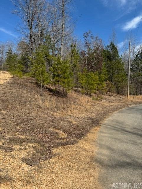 205  Red Hawk Circle  Paron, AR