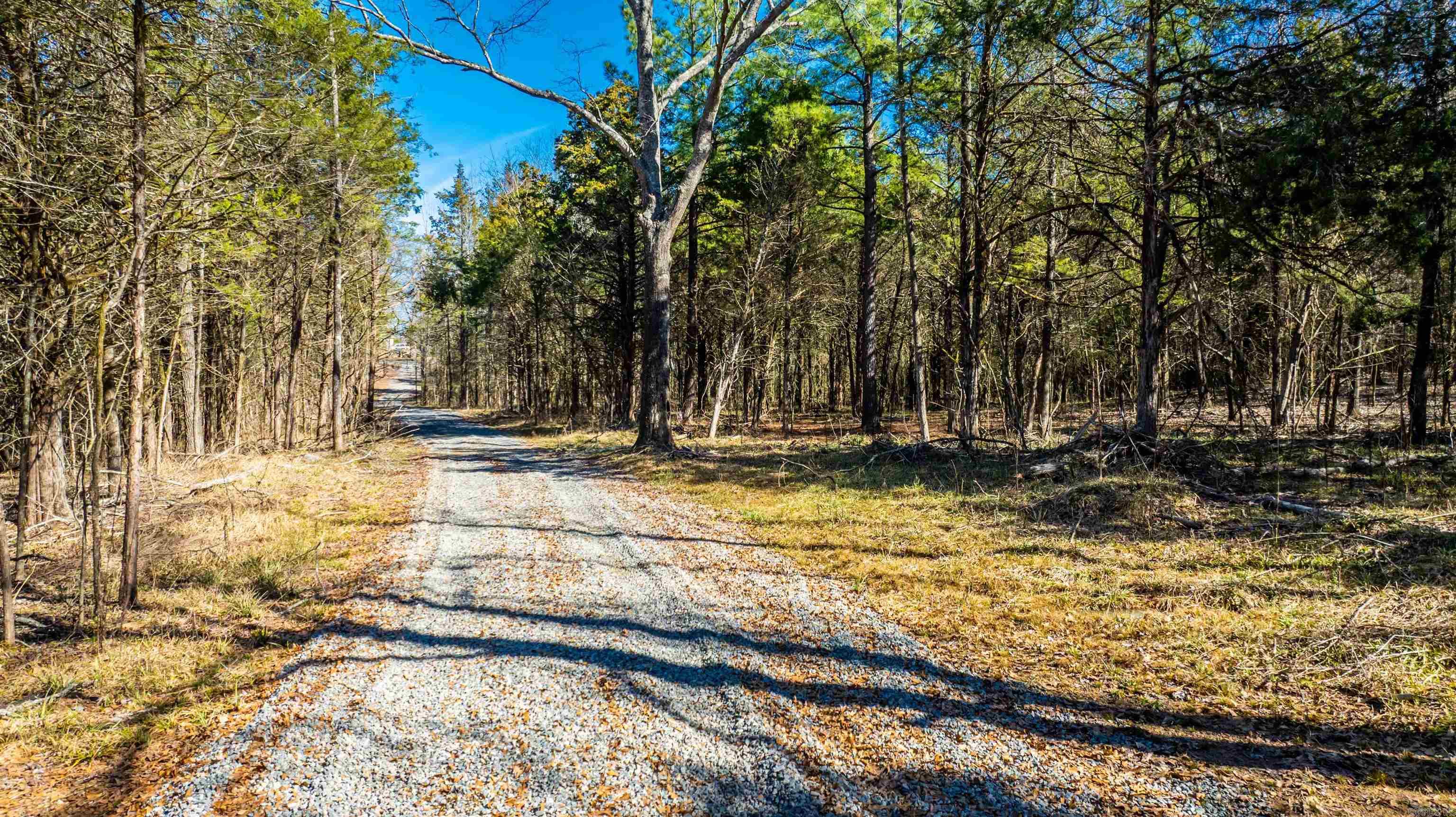 11707  Armstrong  Sherwood, AR