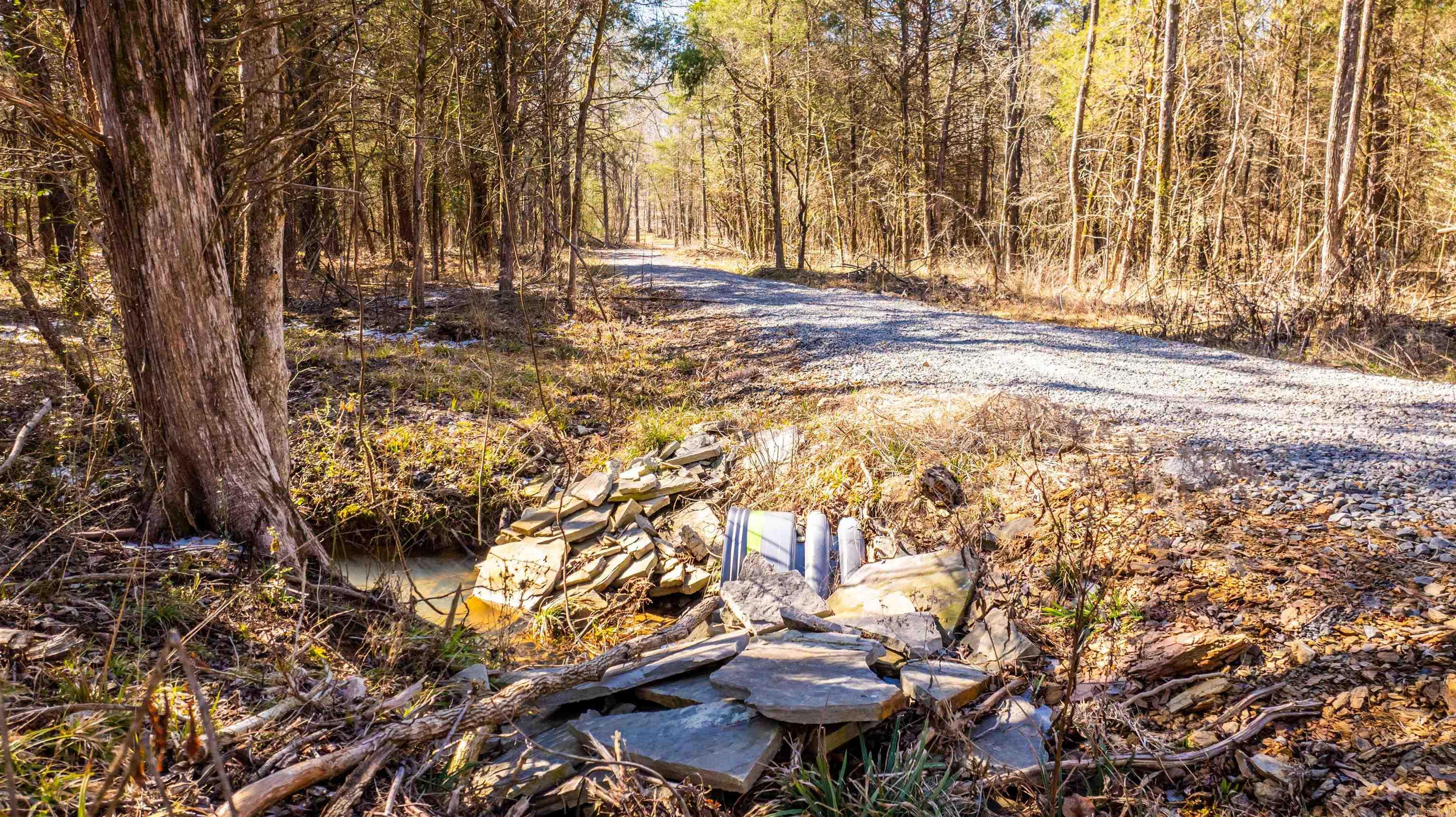 11707  Armstrong  Sherwood, AR
