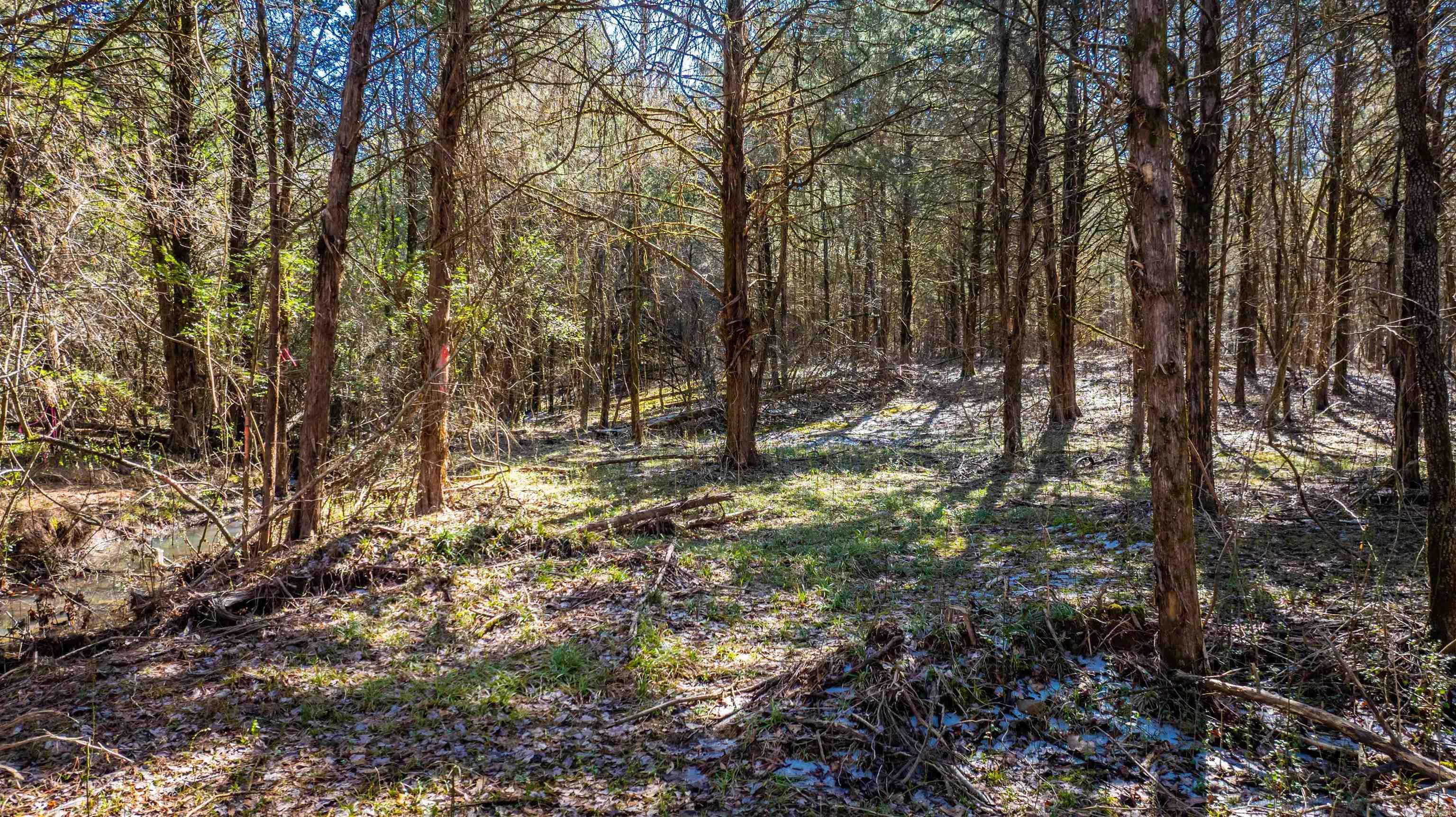 11707  Armstrong  Sherwood, AR