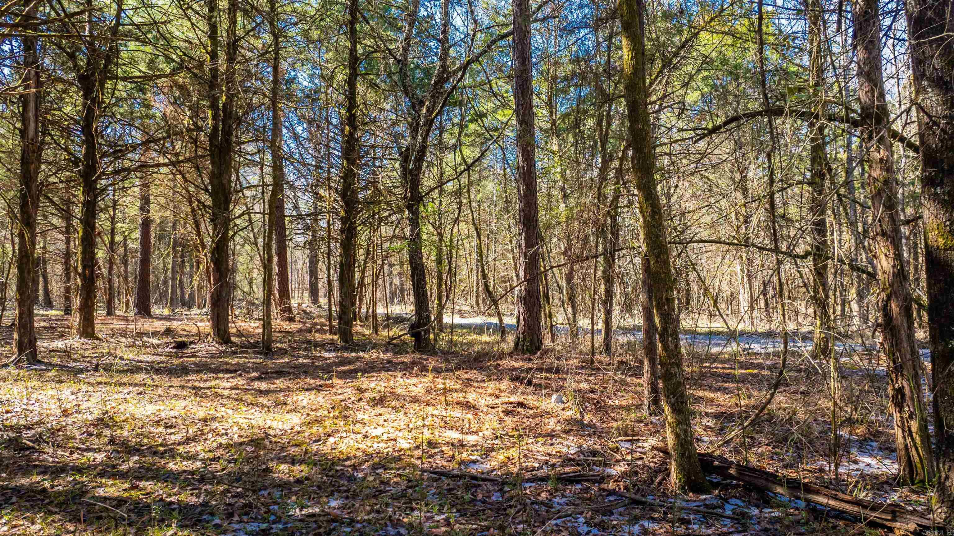 11707  Armstrong  Sherwood, AR