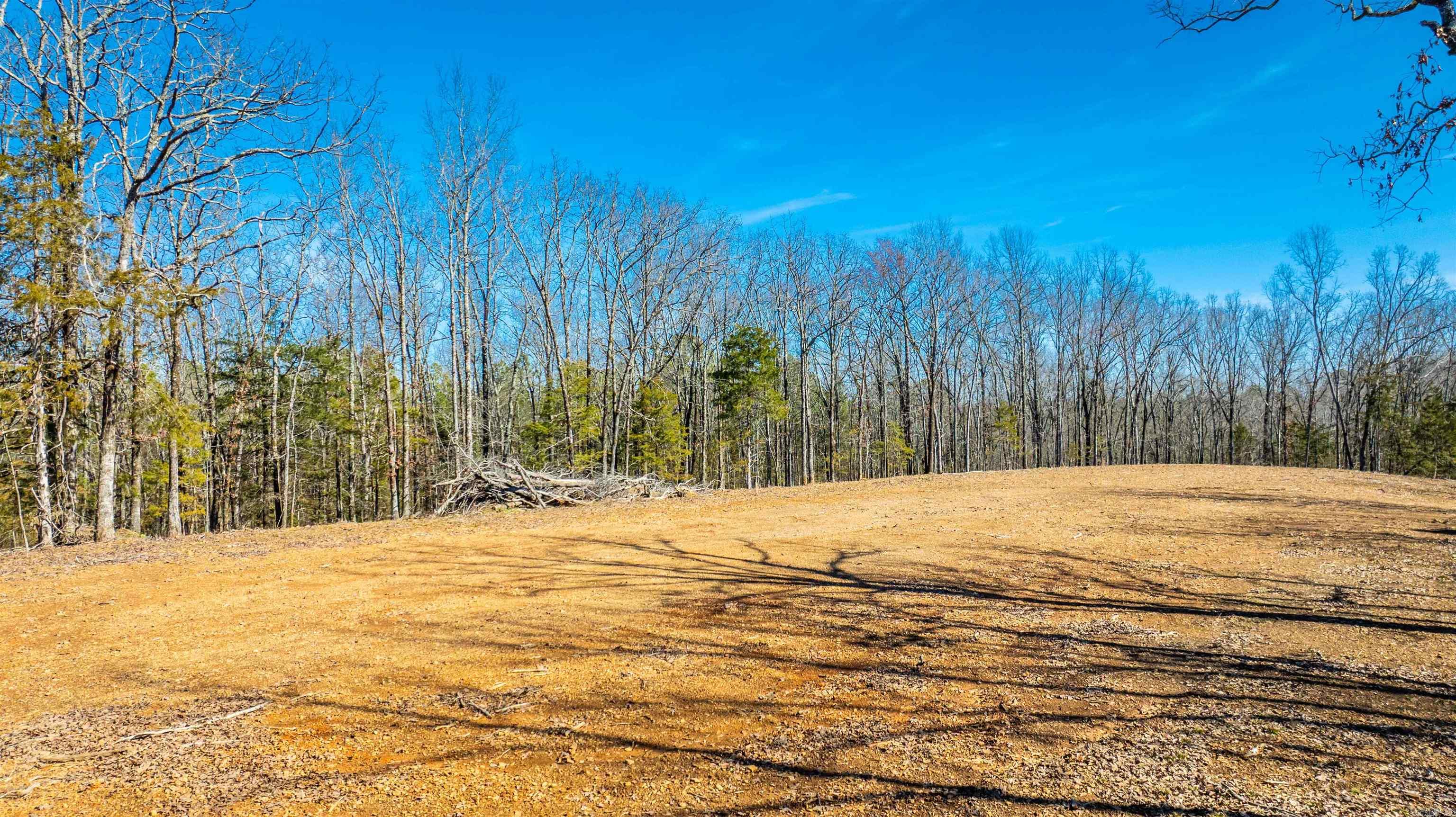 11707  Armstrong  Sherwood, AR