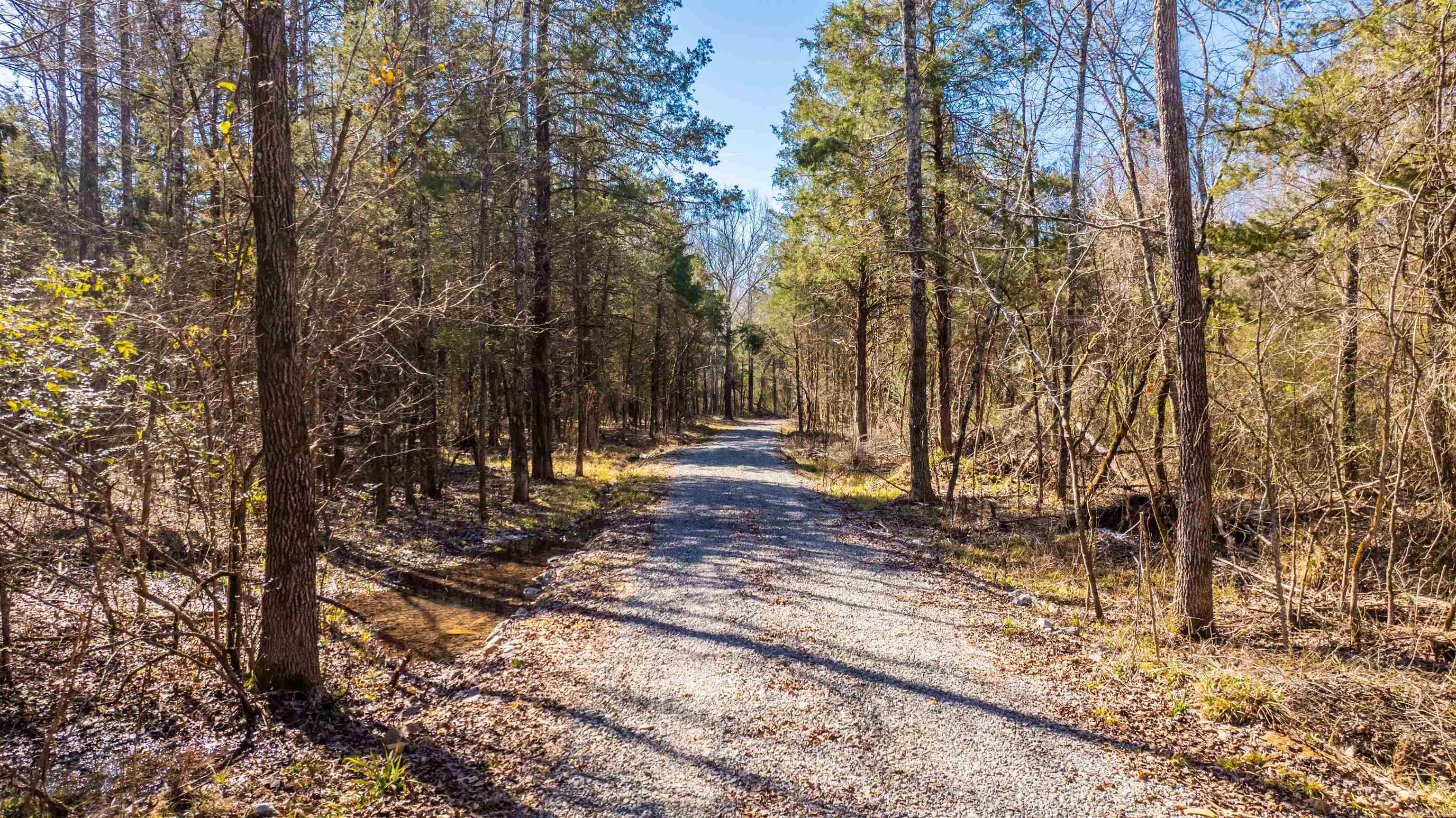 11707  Armstrong  Sherwood, AR