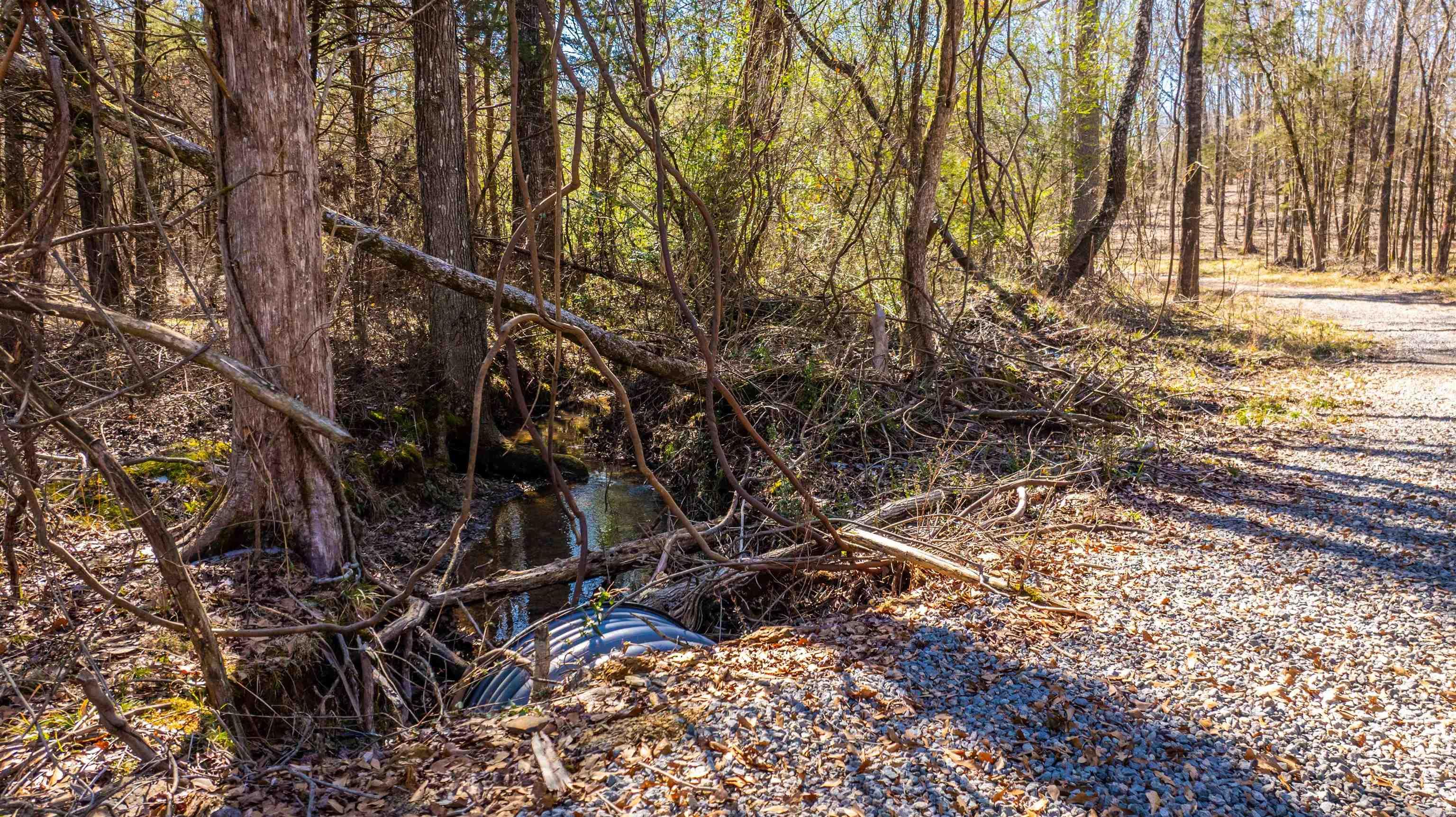 11707  Armstrong  Sherwood, AR