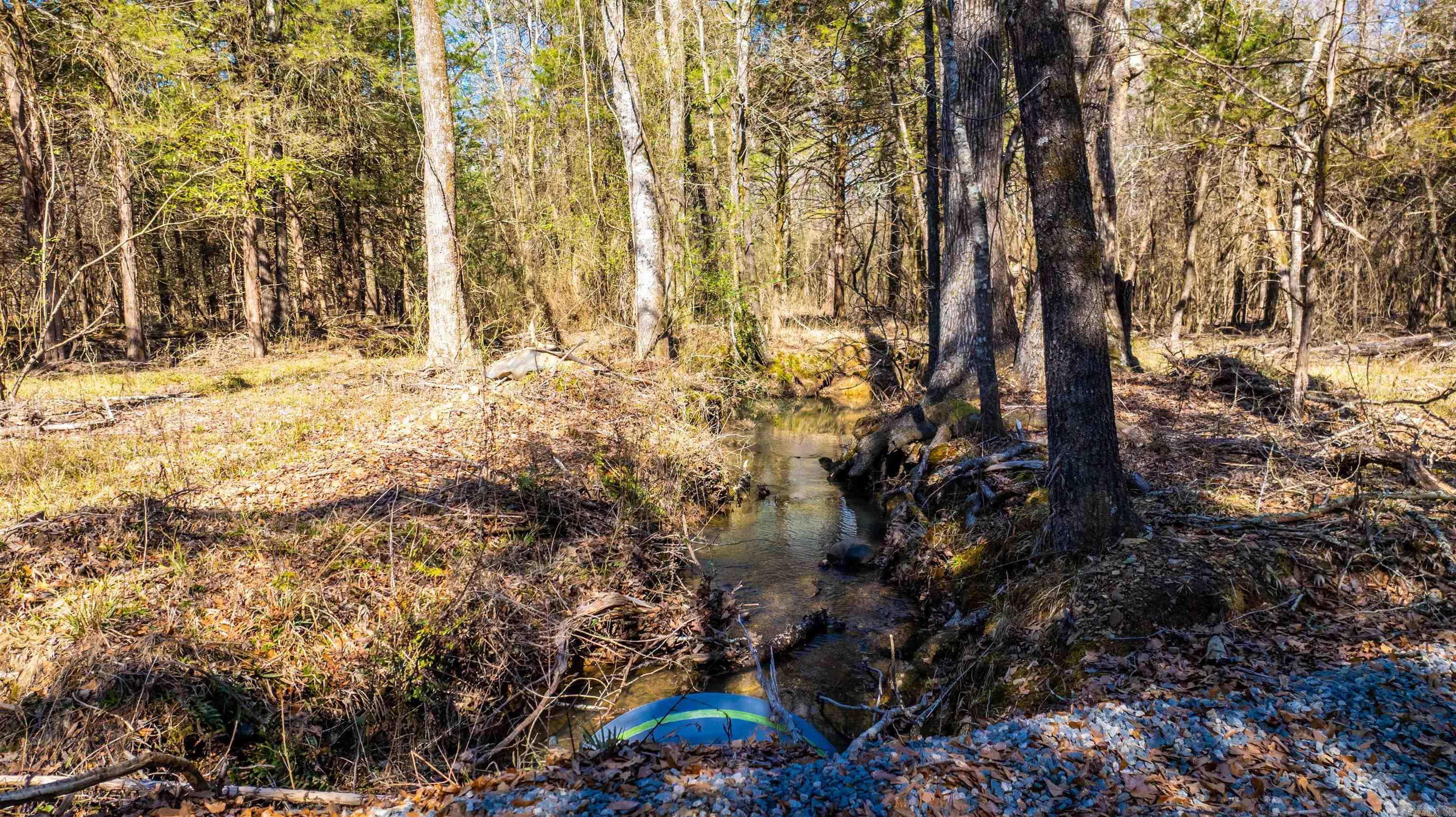 11707  Armstrong  Sherwood, AR
