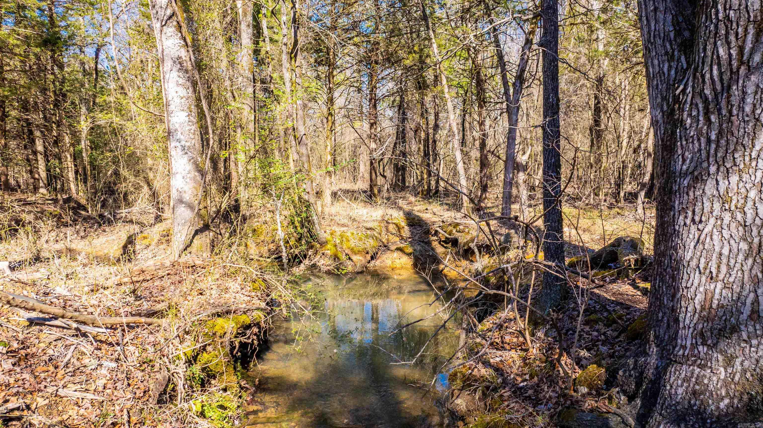 11707  Armstrong  Sherwood, AR