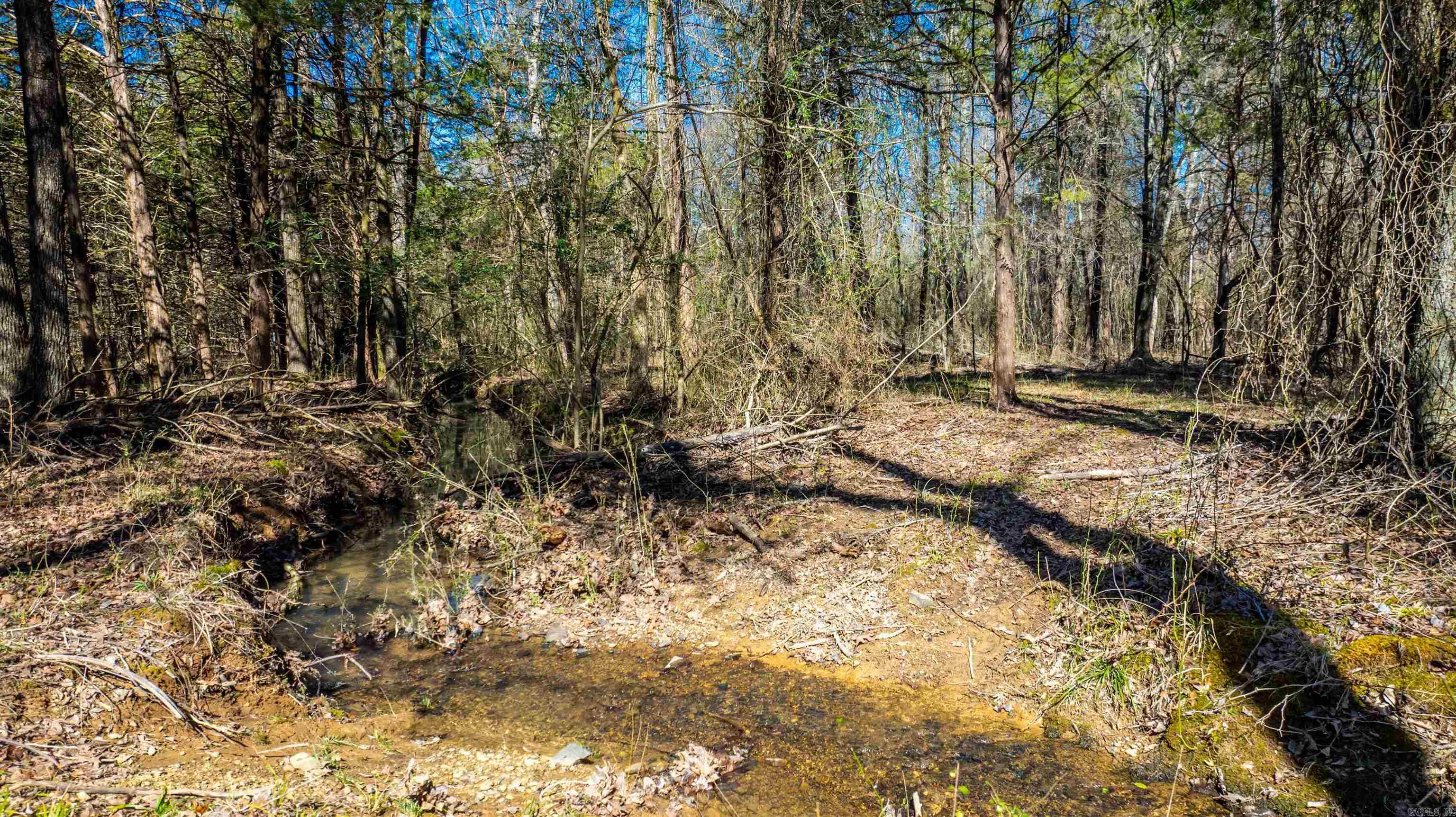11707  Armstrong  Sherwood, AR