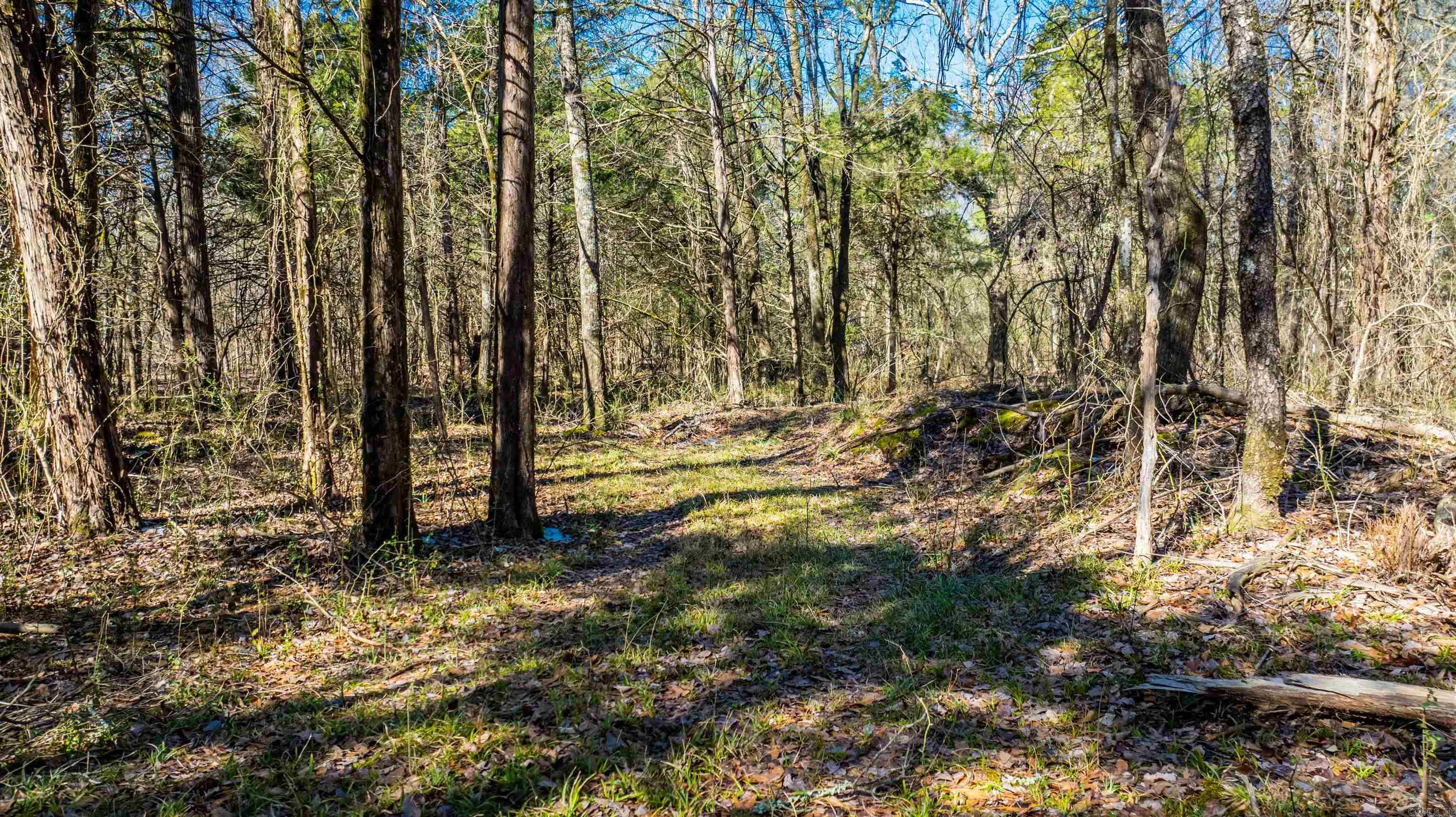 11707  Armstrong  Sherwood, AR