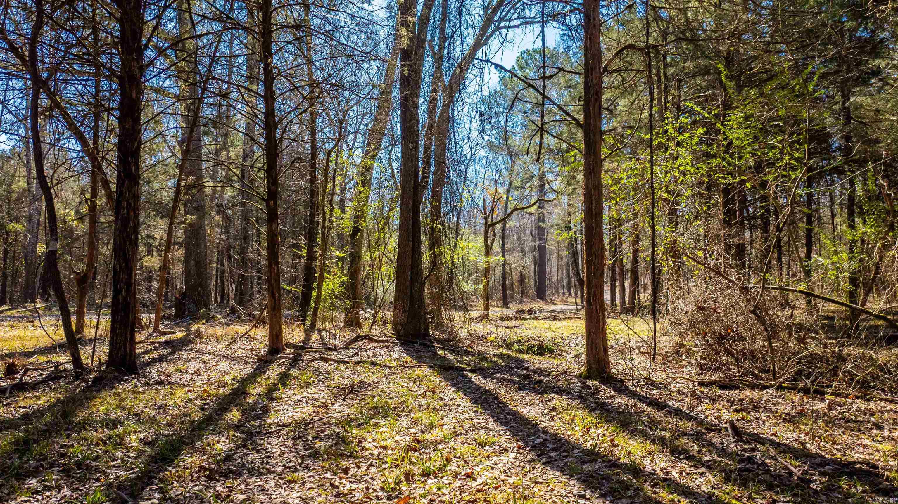 11707  Armstrong  Sherwood, AR