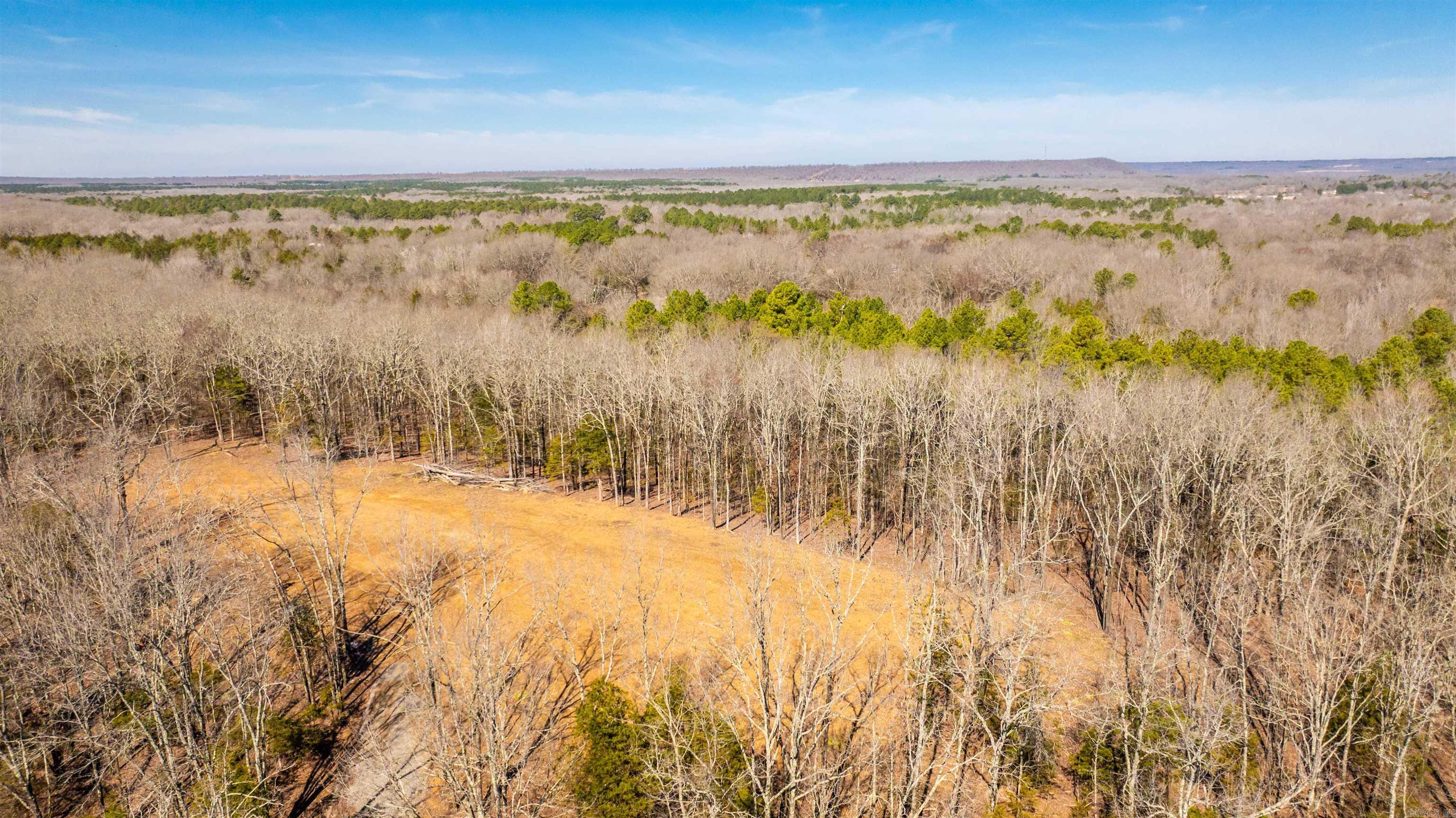 11707  Armstrong  Sherwood, AR