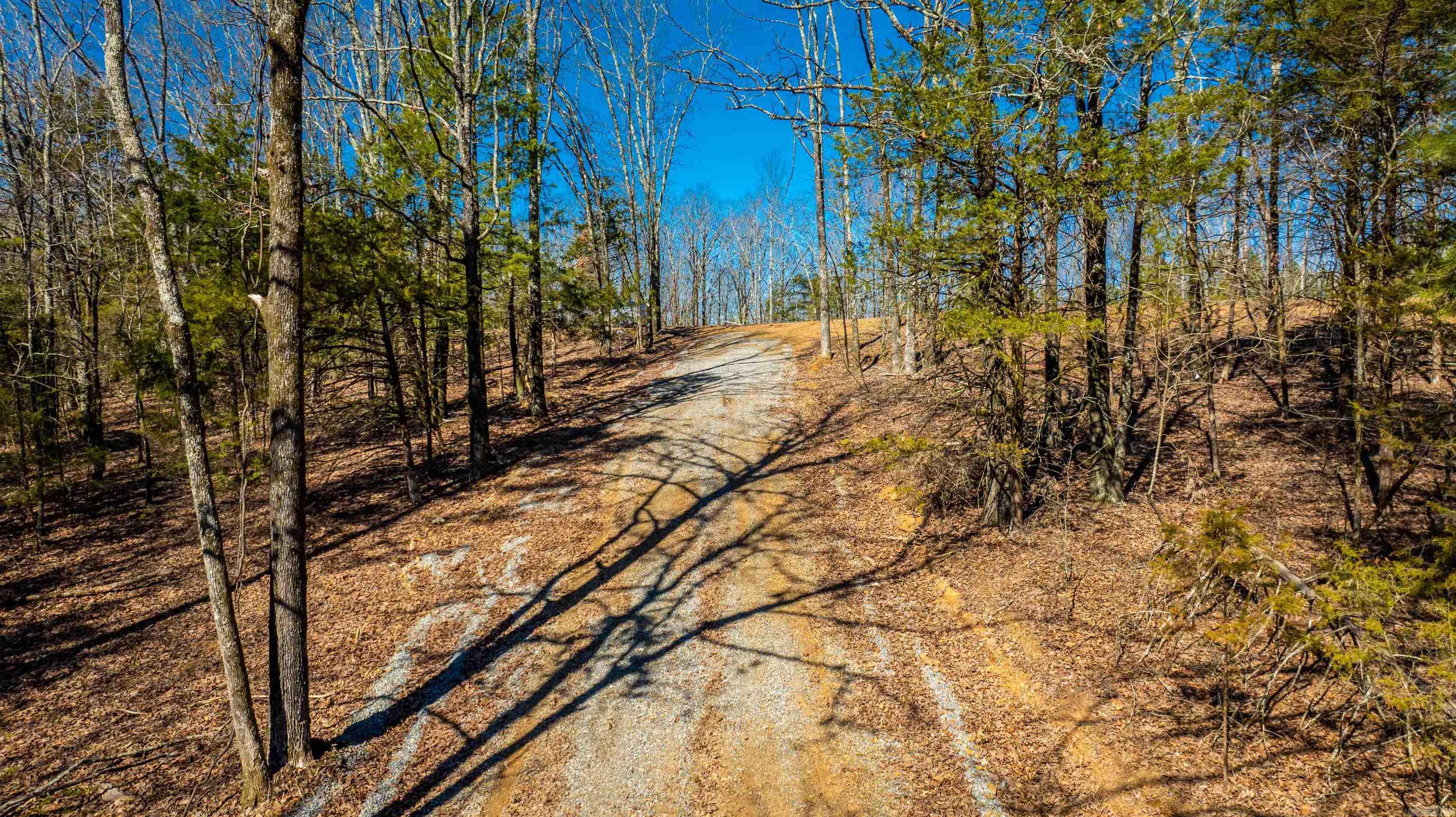 11707  Armstrong  Sherwood, AR