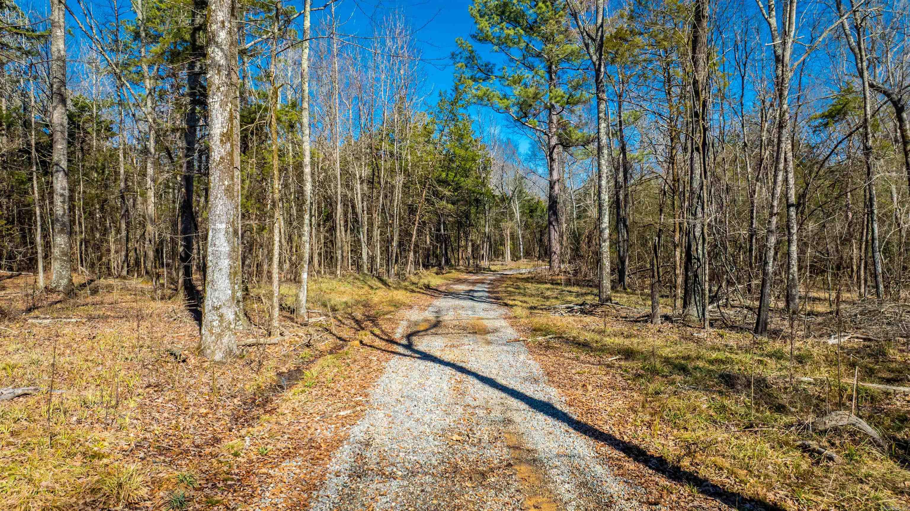 11707  Armstrong  Sherwood, AR