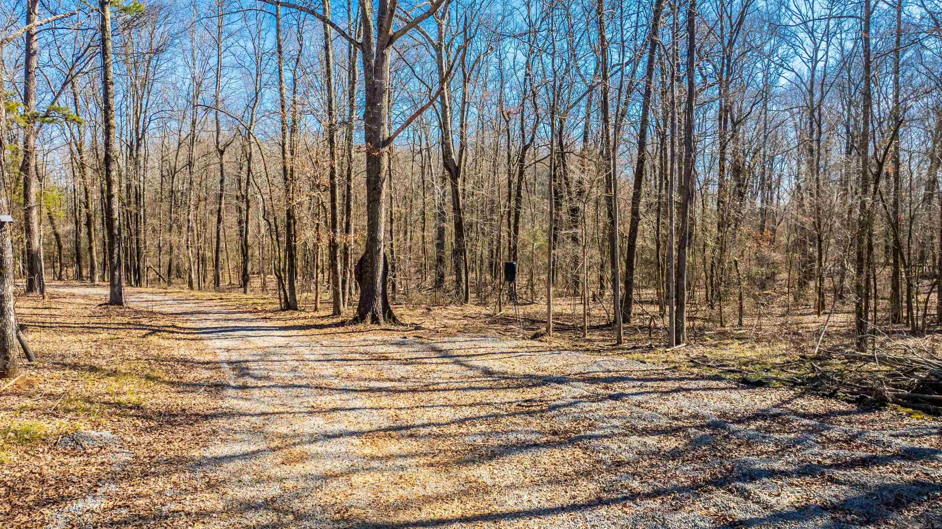 11707  Armstrong  Sherwood, AR