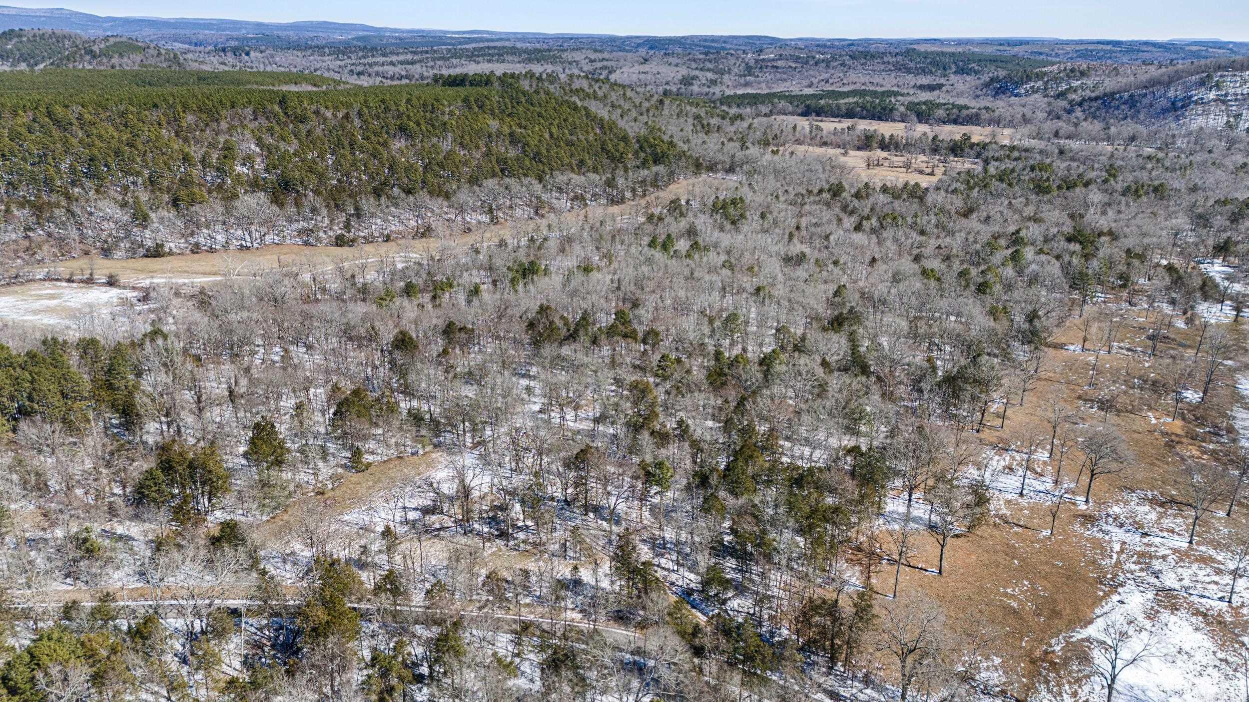 3101  Bradfield  Russellville, AR