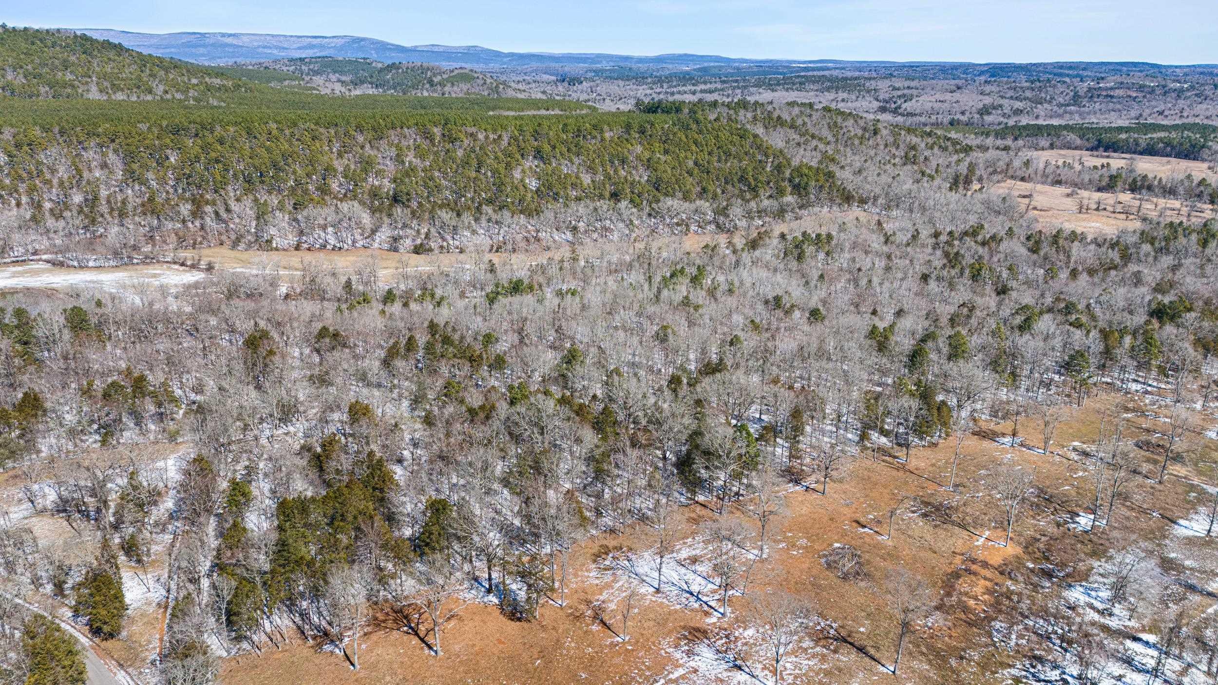 3101  Bradfield  Russellville, AR