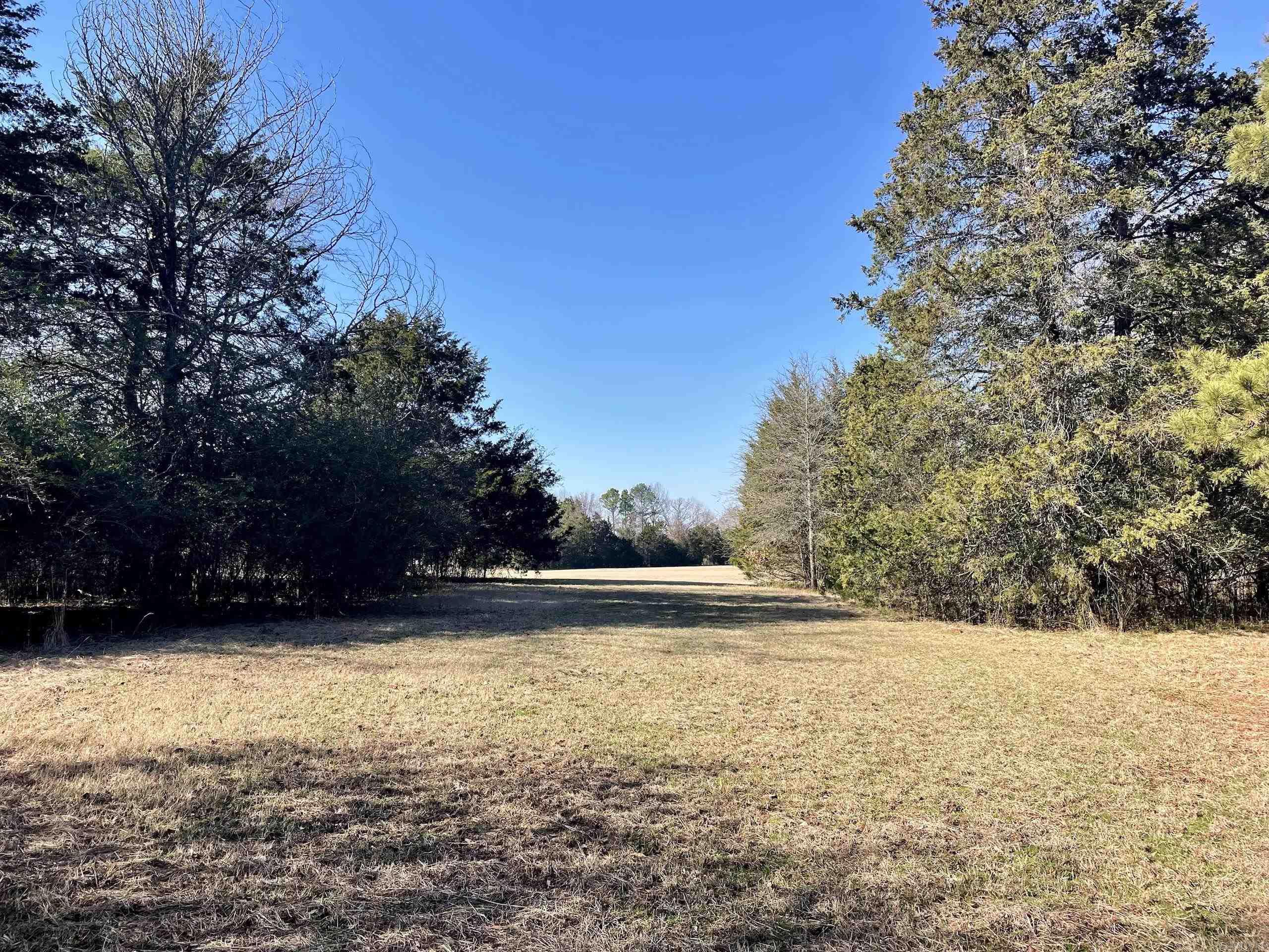 86  Brewer  Conway, AR