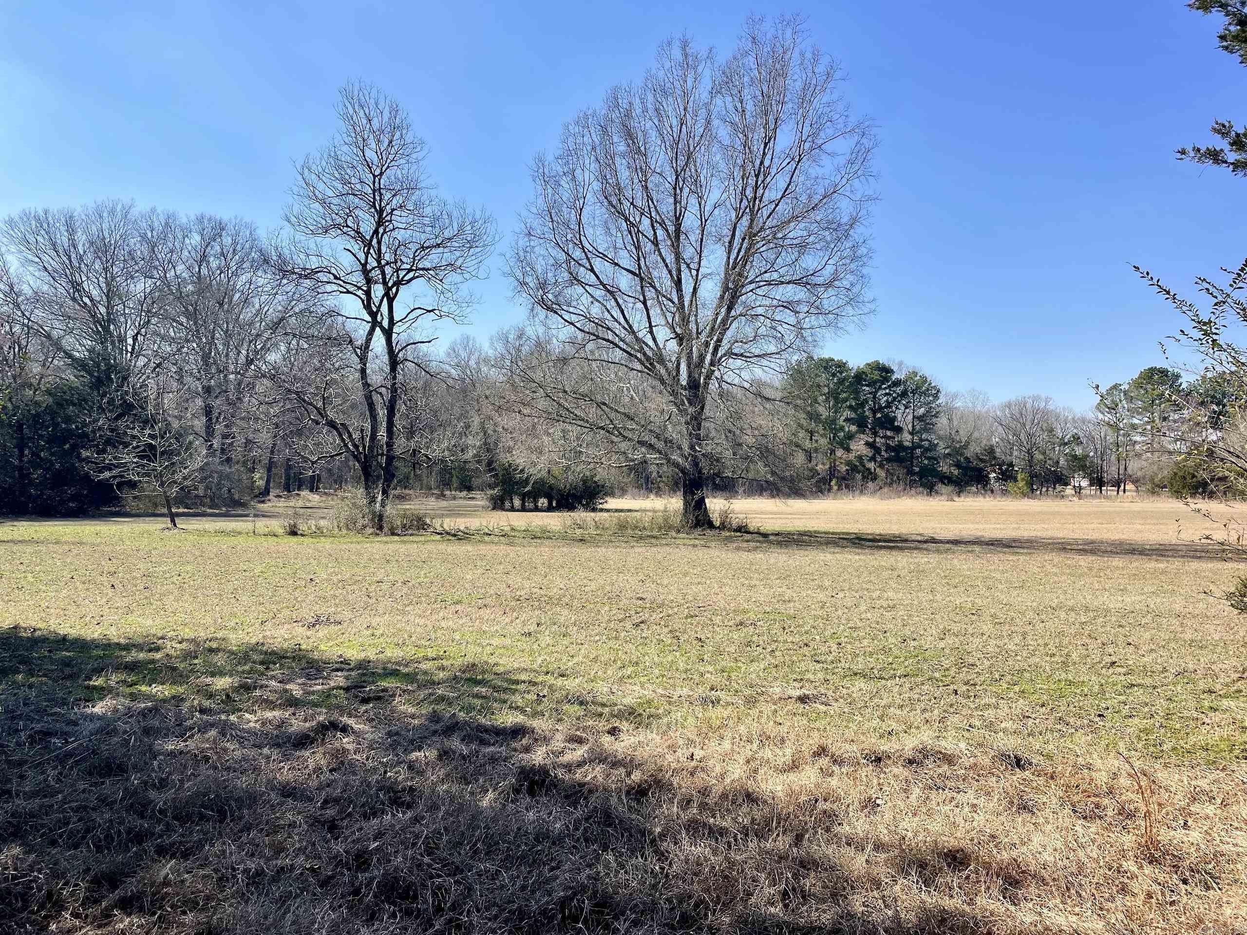 86  Brewer  Conway, AR