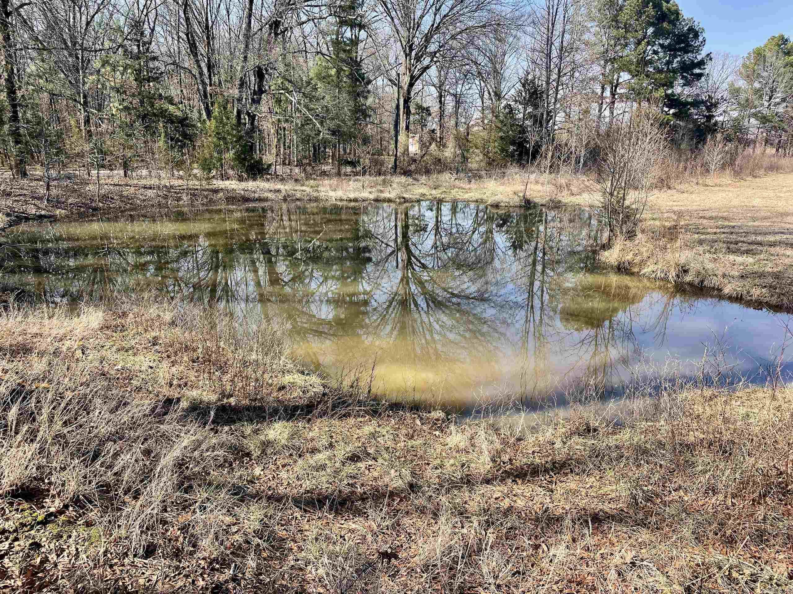86  Brewer  Conway, AR