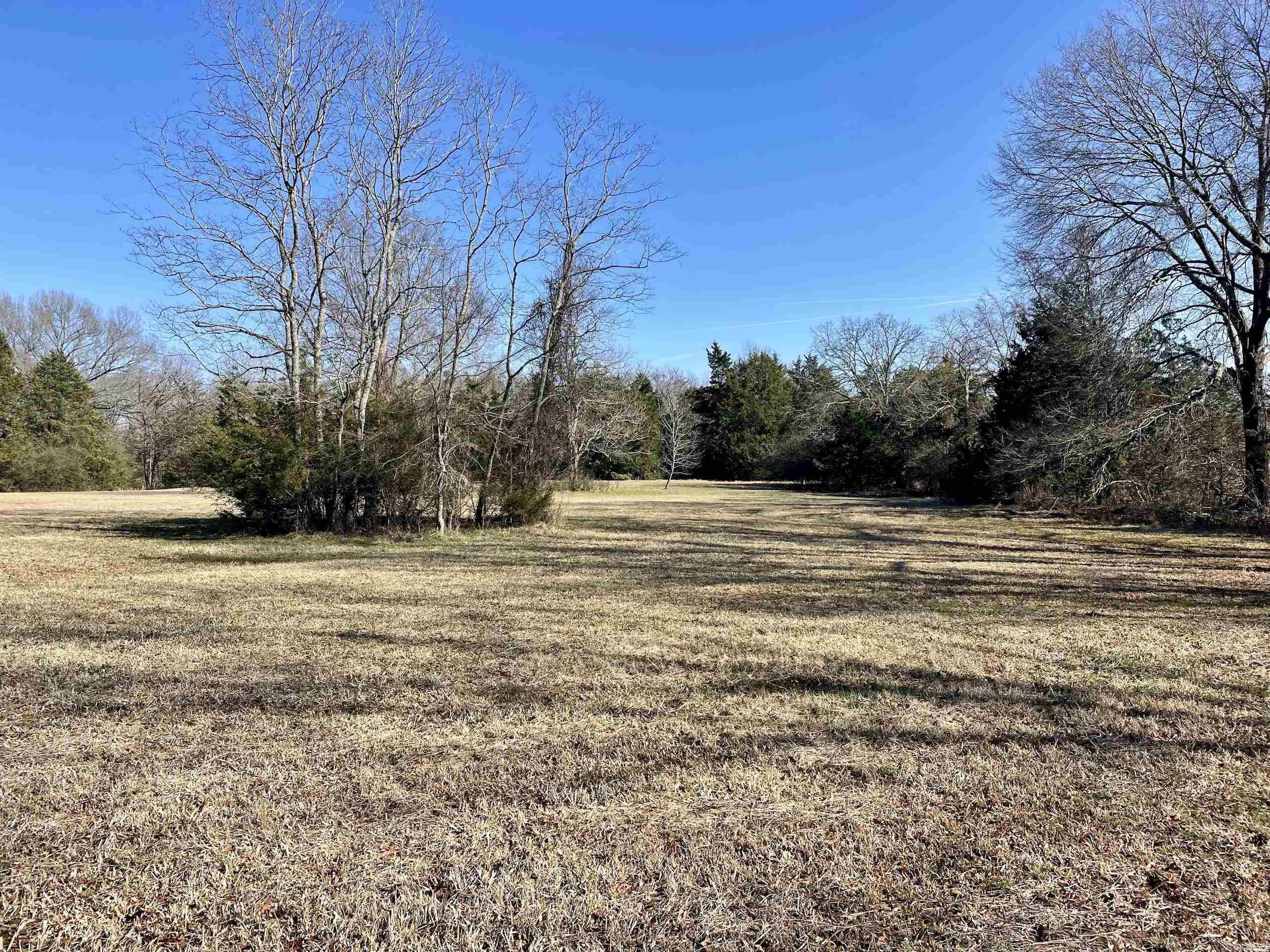 86  Brewer  Conway, AR