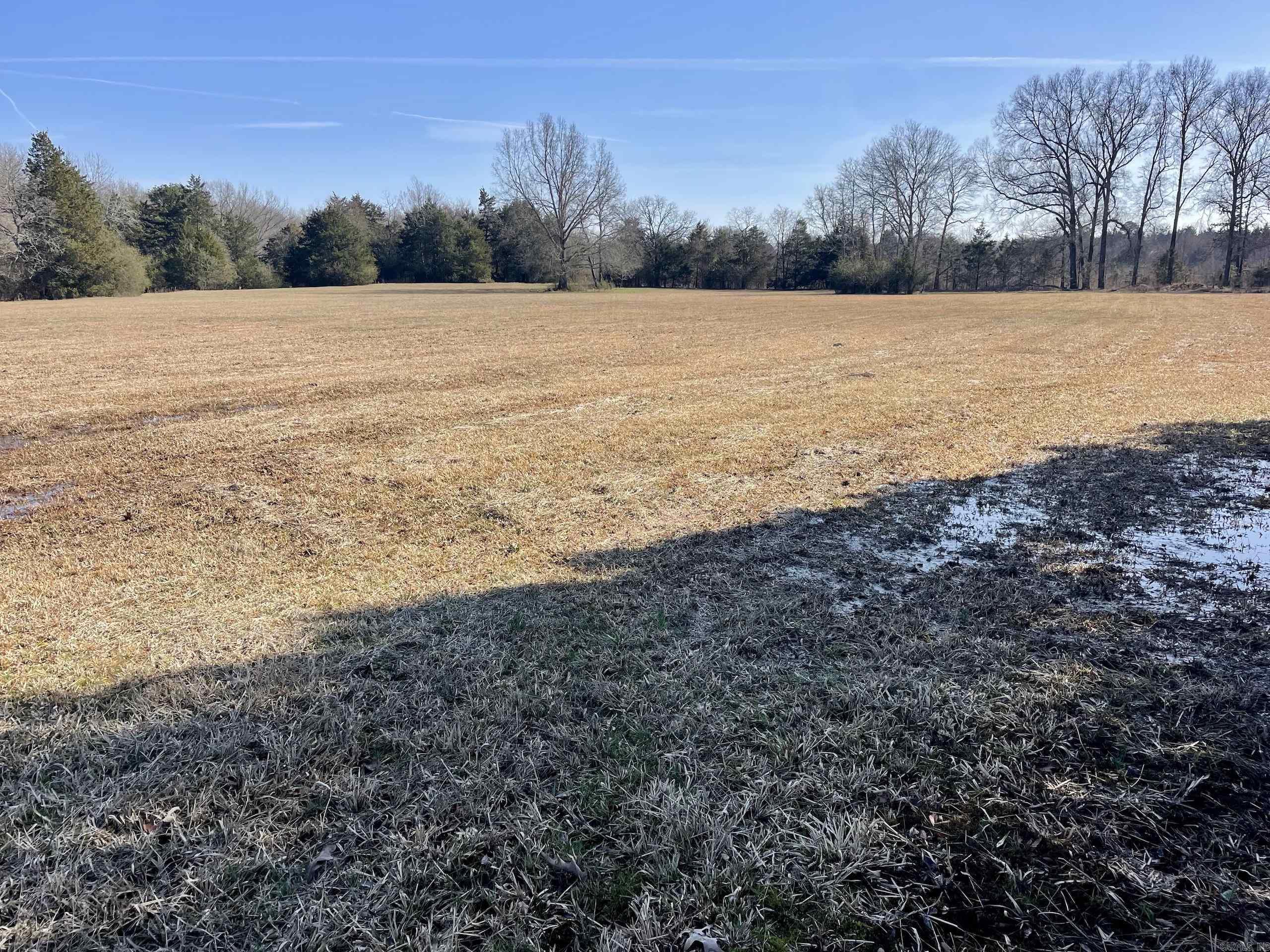 86  Brewer  Conway, AR