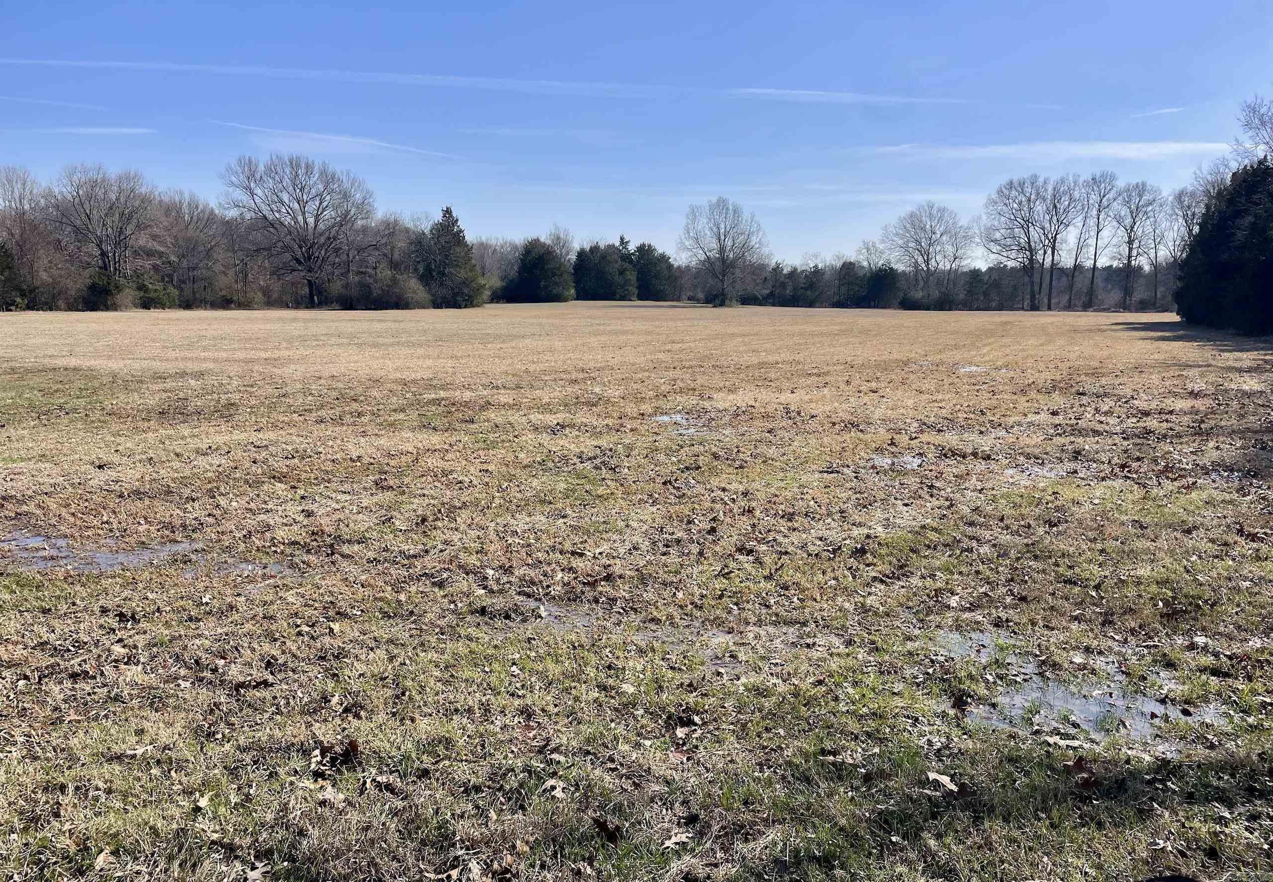 86  Brewer  Conway, AR