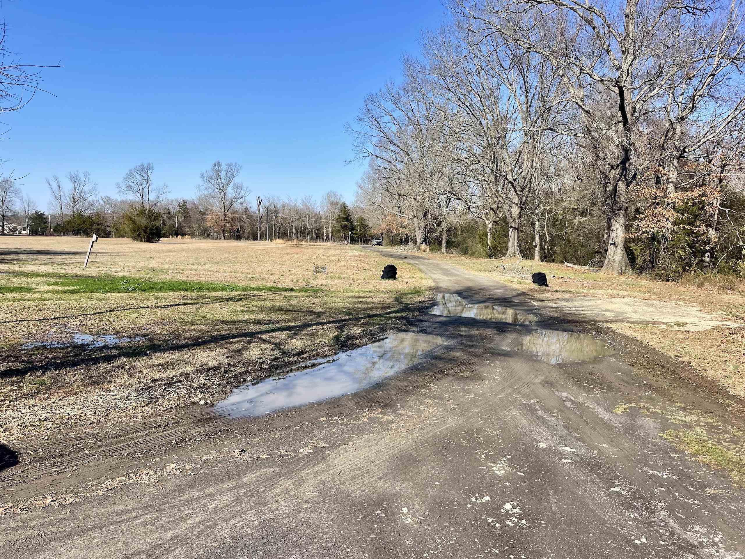 86  Brewer  Conway, AR