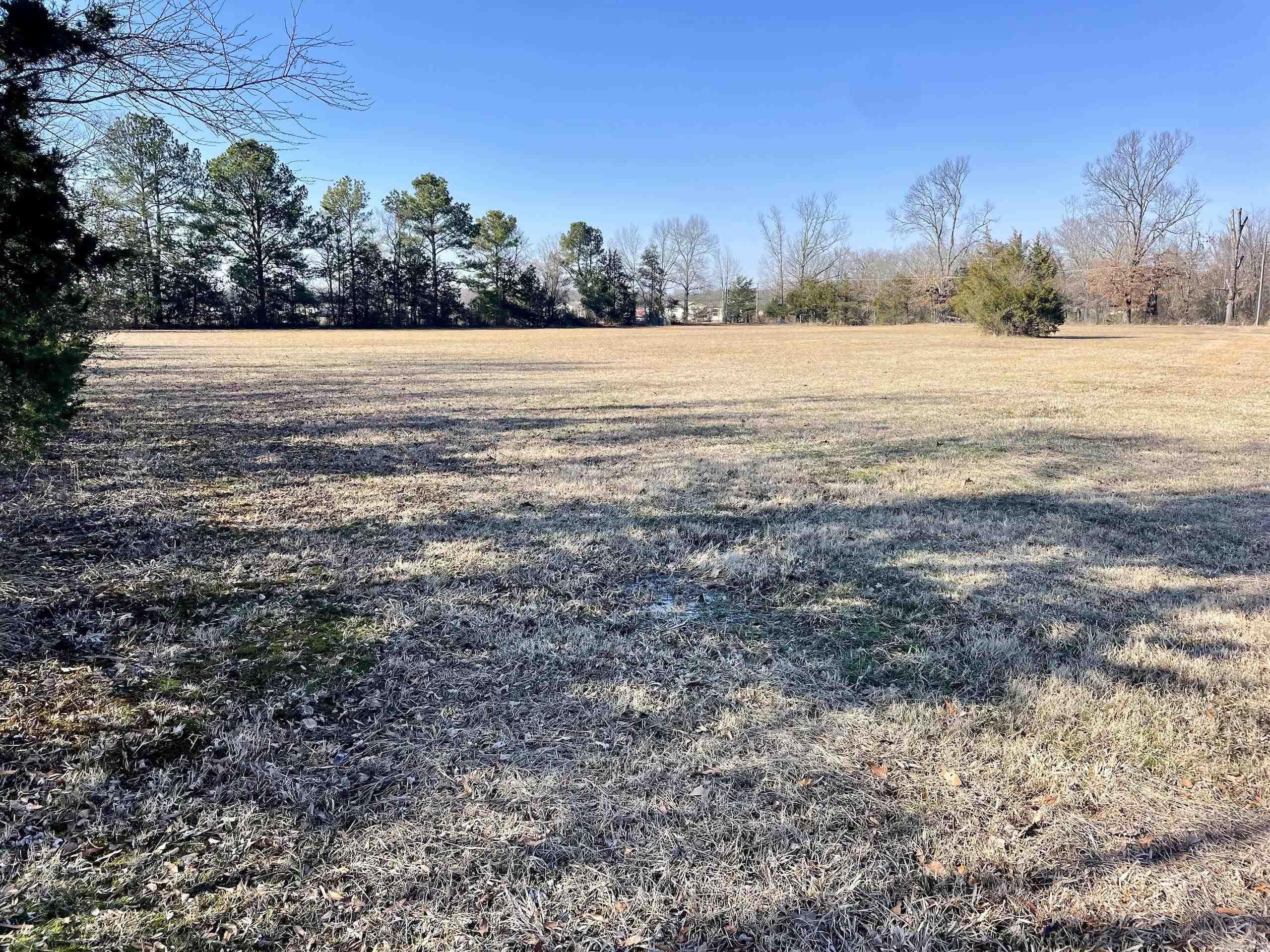 86  Brewer  Conway, AR