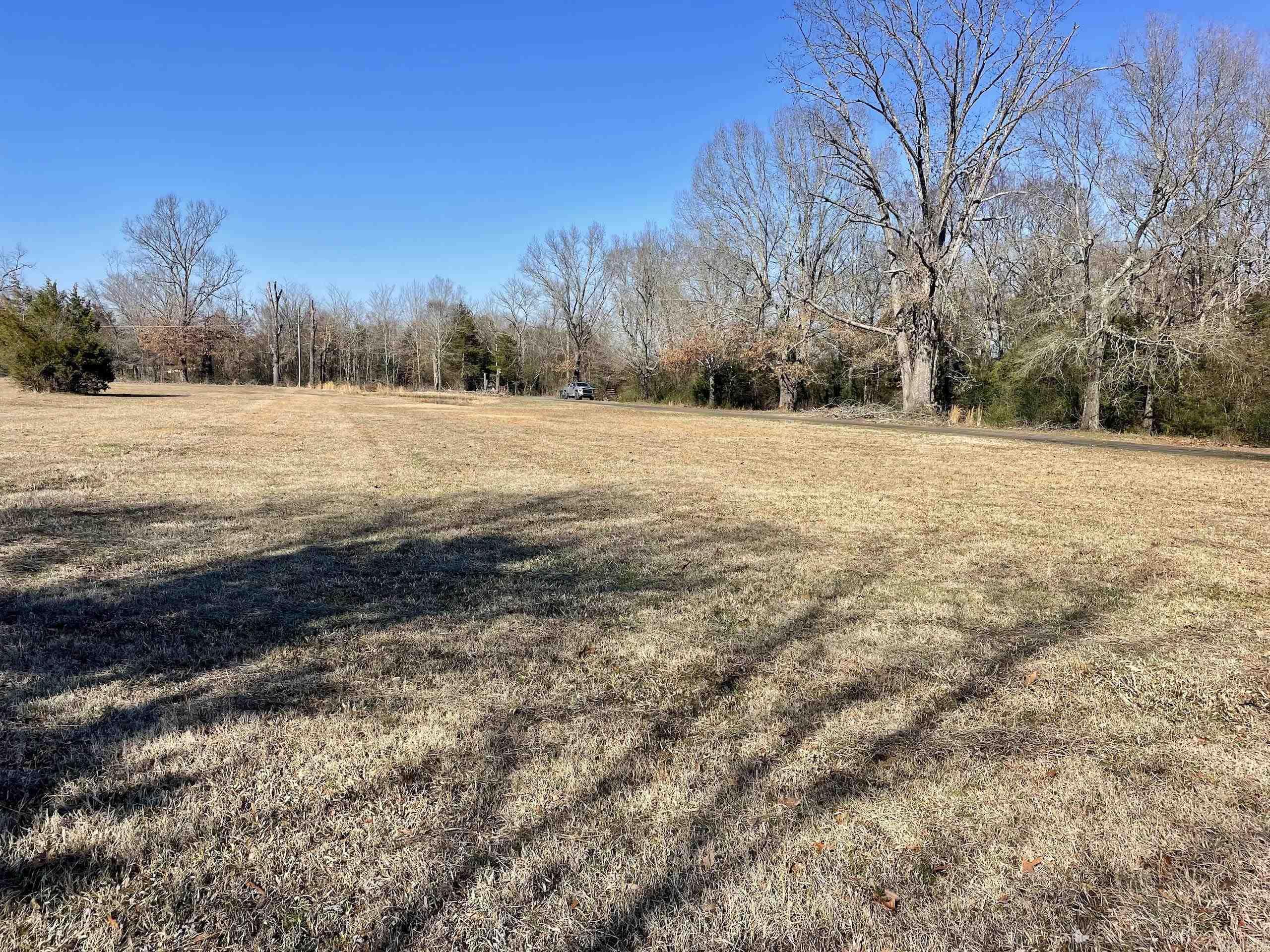 86  Brewer  Conway, AR