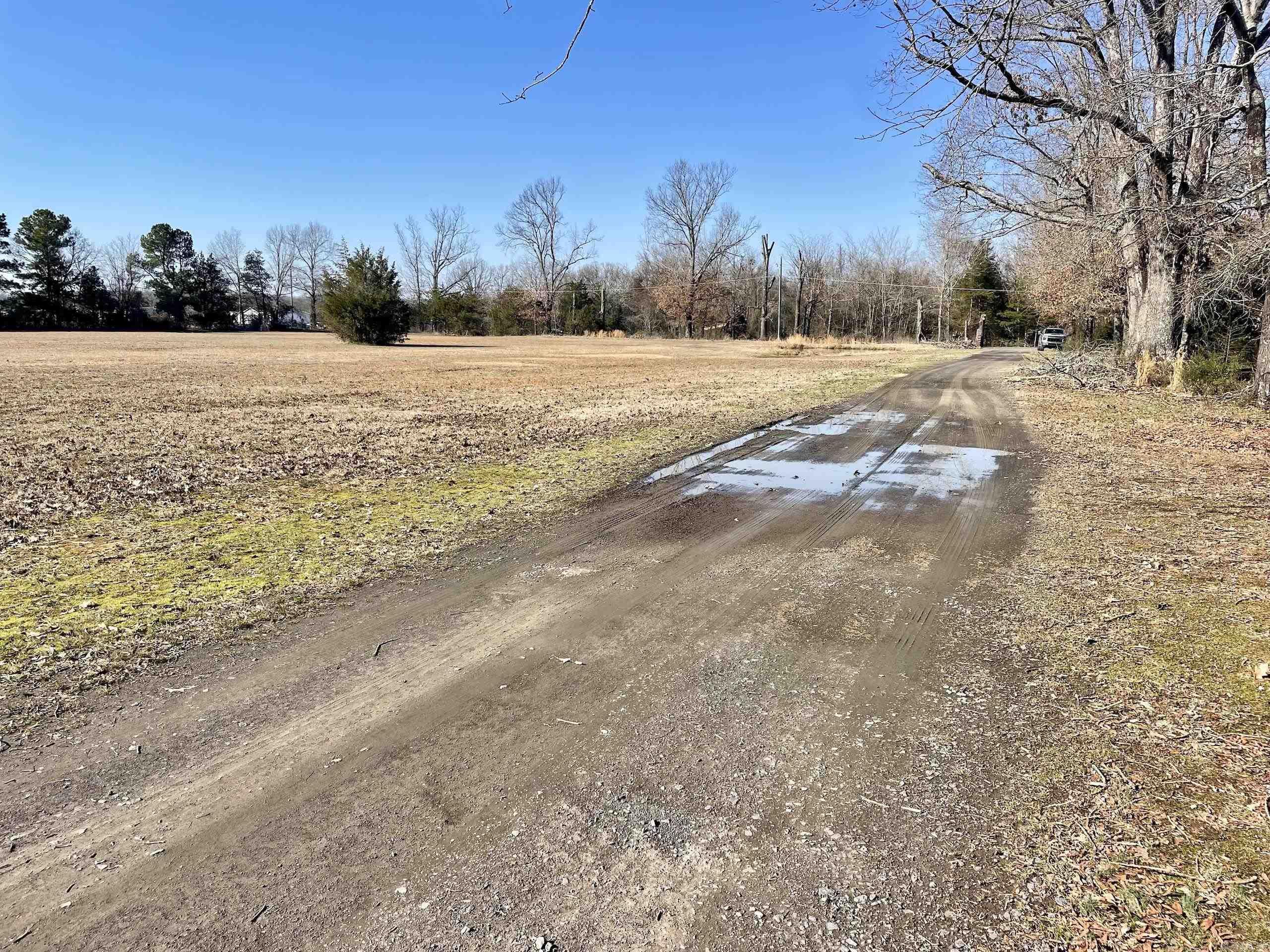 86  Brewer  Conway, AR