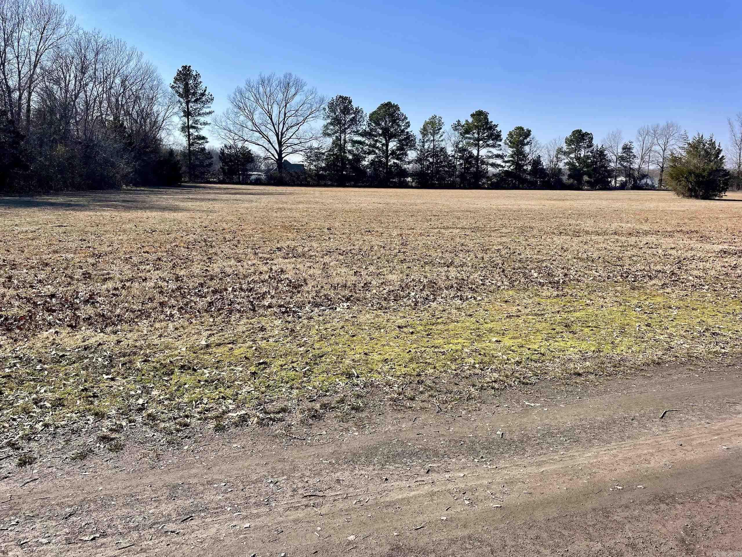 86  Brewer  Conway, AR