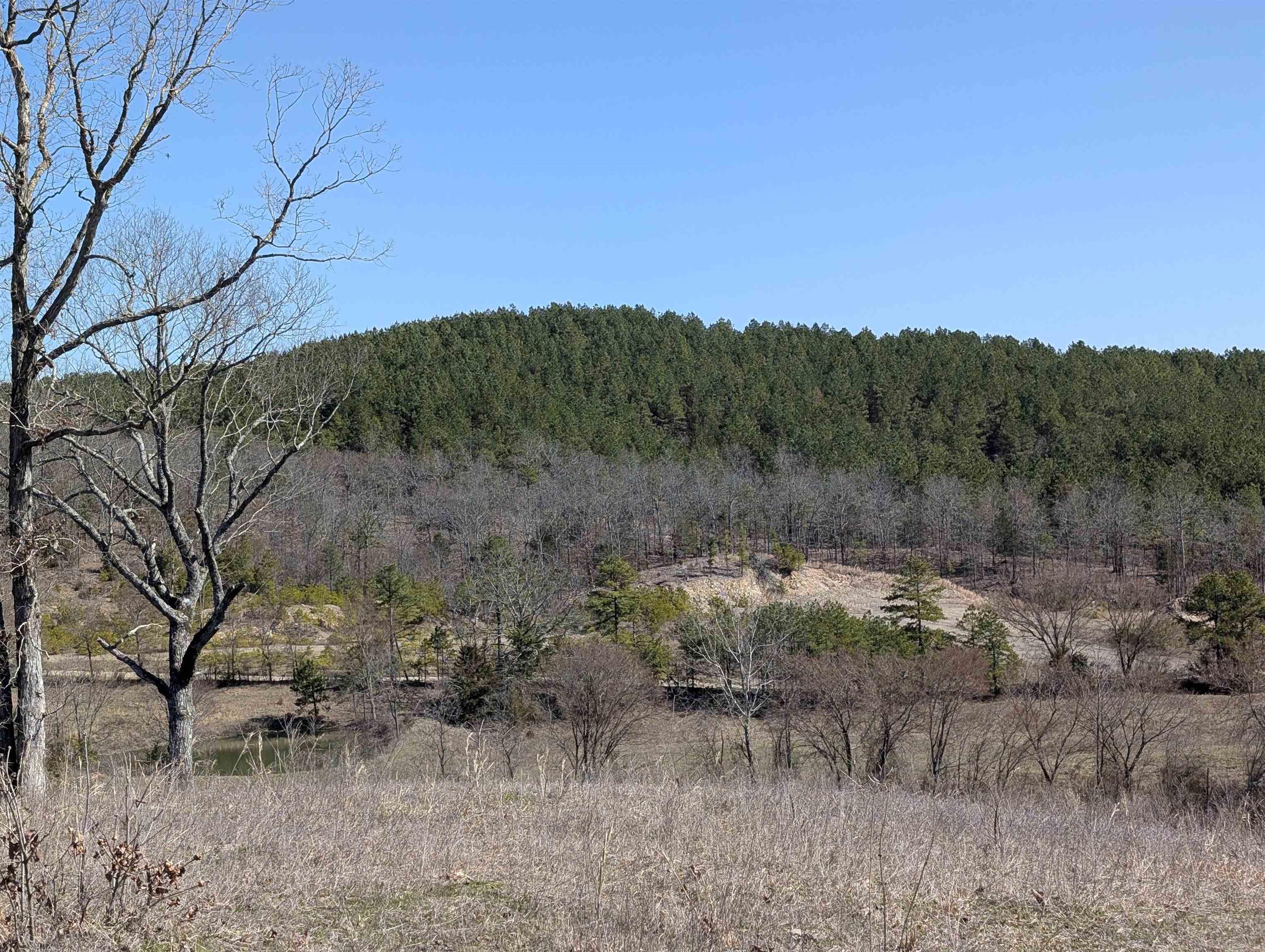 Unk  Polk Road 62  Mena, AR