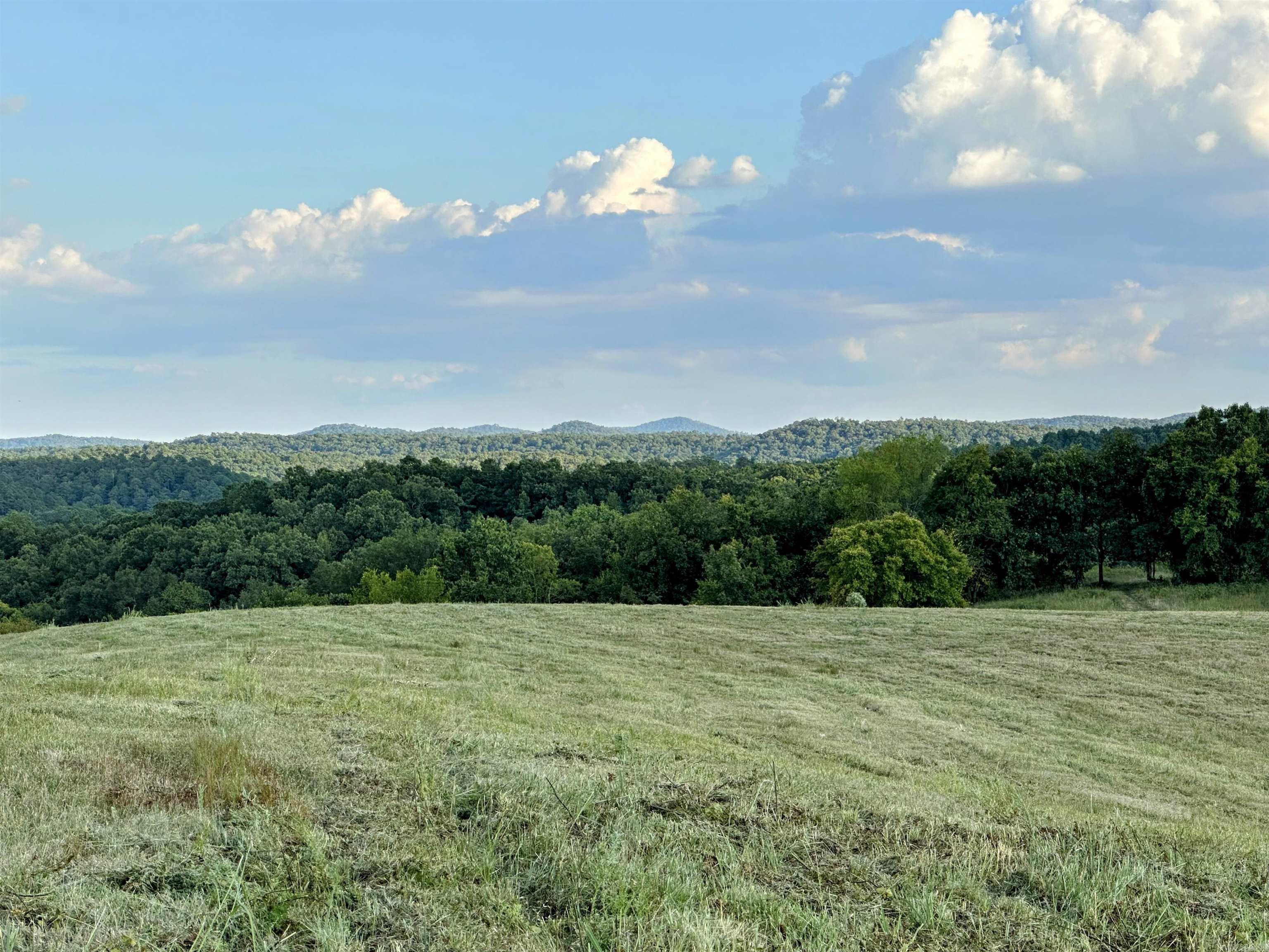Unk Polk Road 62  Mena, AR