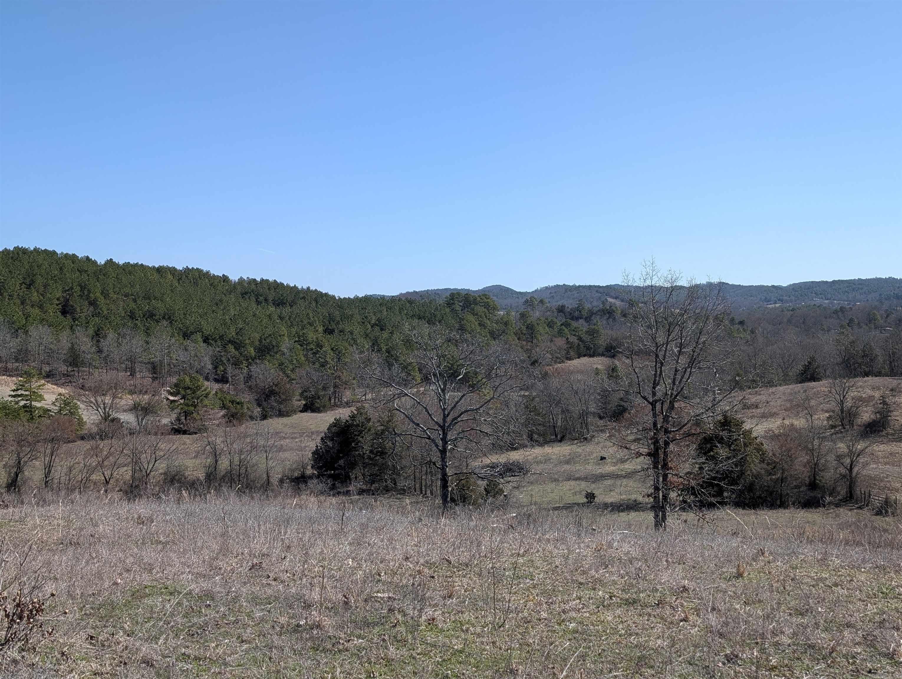 Unk  Polk Road 62  Mena, AR