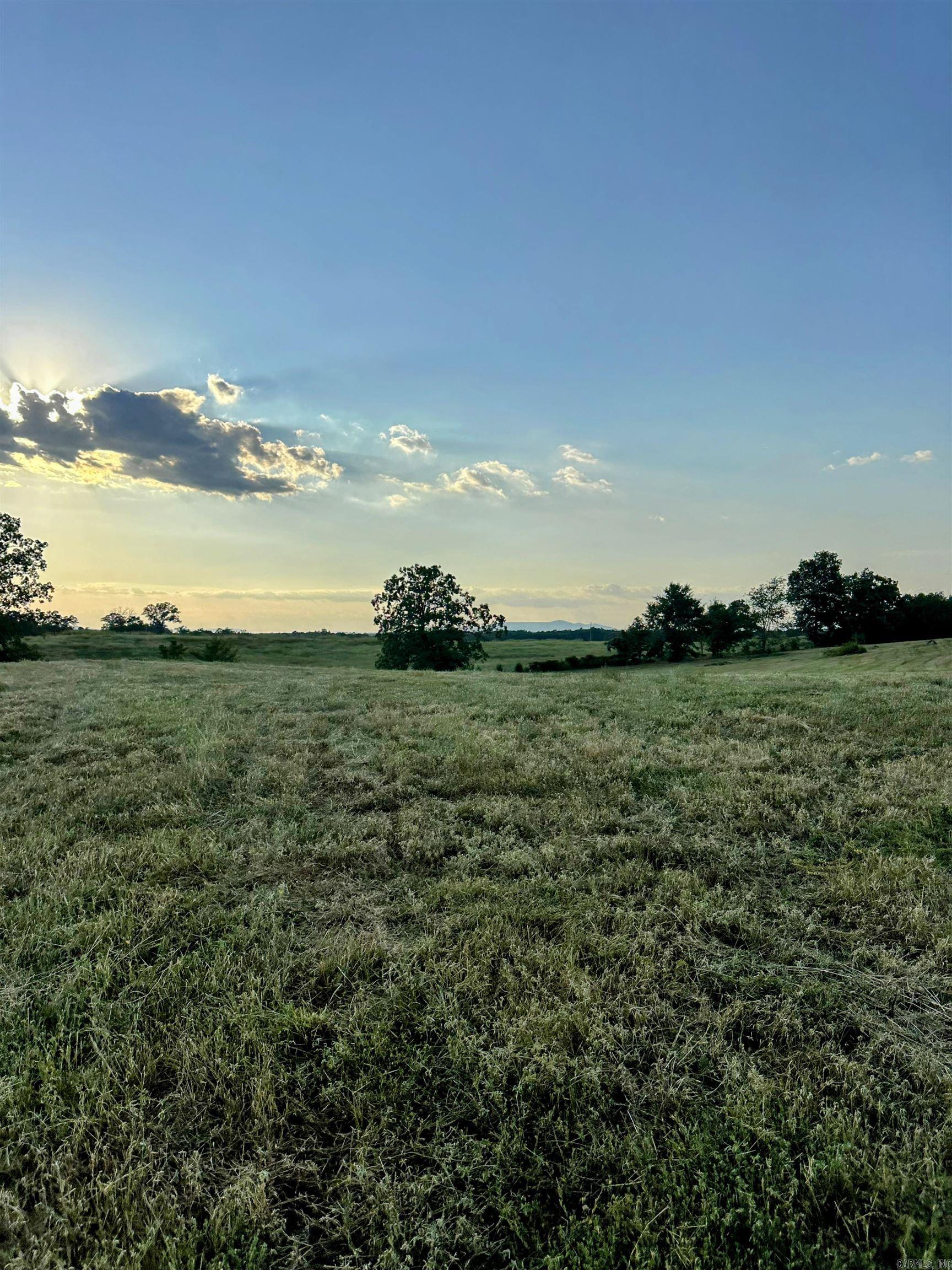 Unk Polk Road 62  Mena, AR