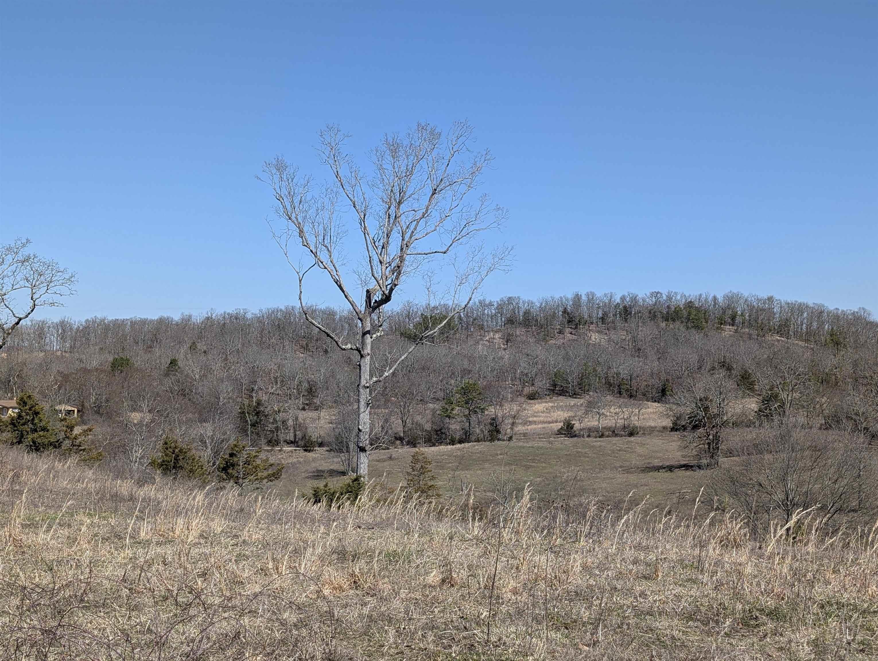 Unk  Polk Road 62  Mena, AR