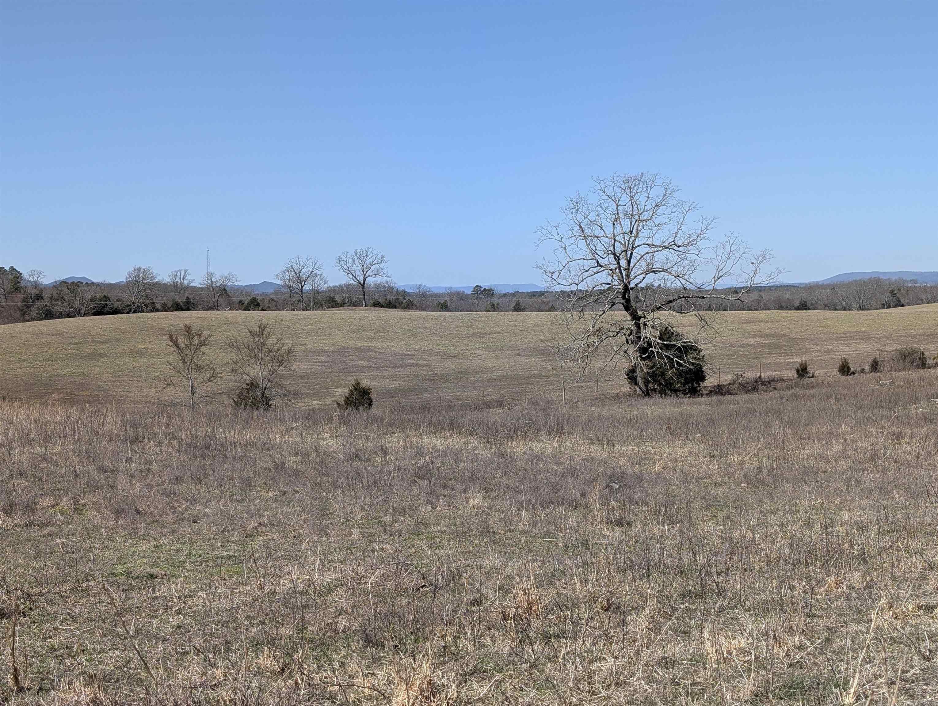 Unk  Polk Road 62  Mena, AR