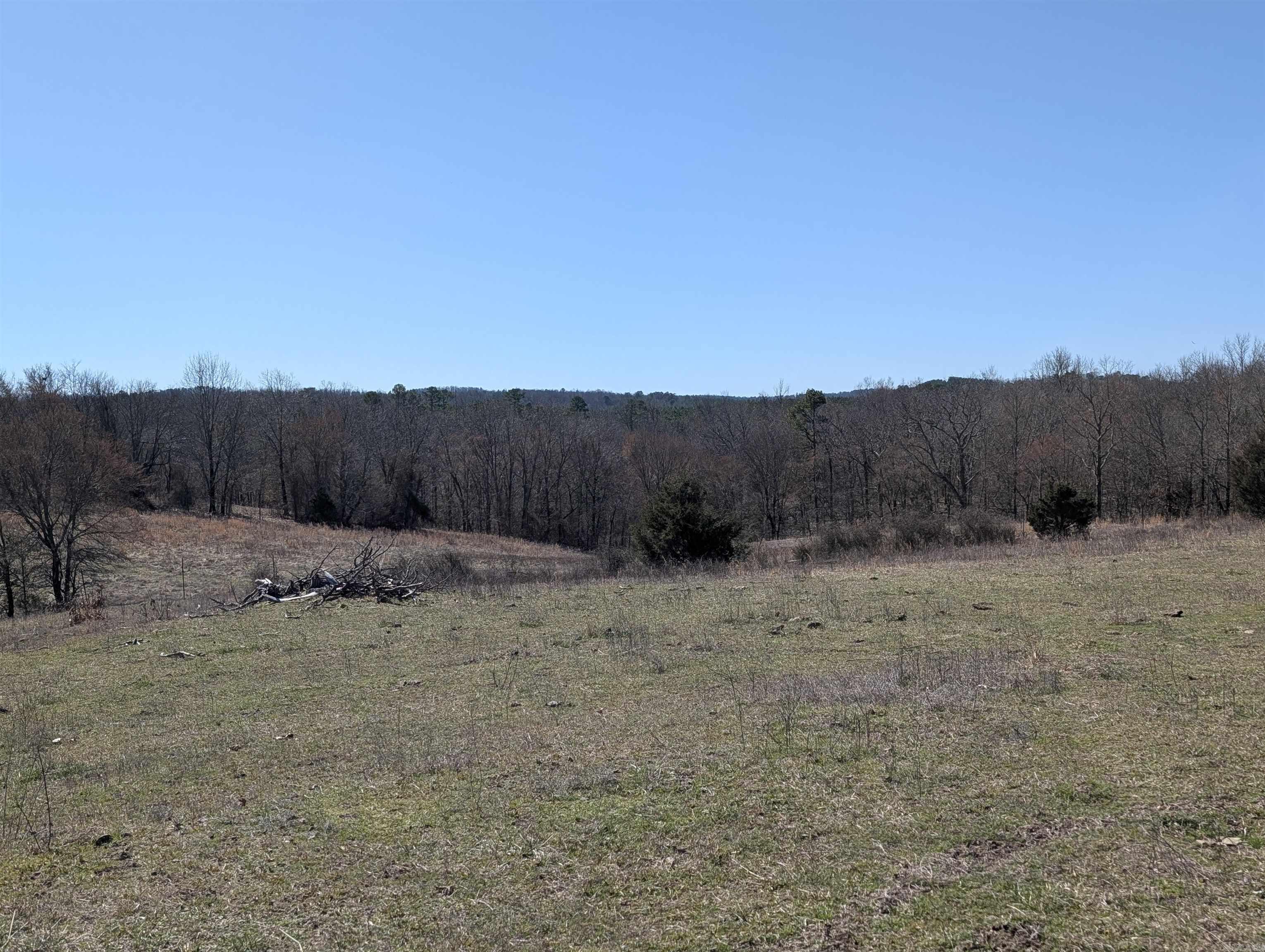 Unk  Polk Road 62  Mena, AR