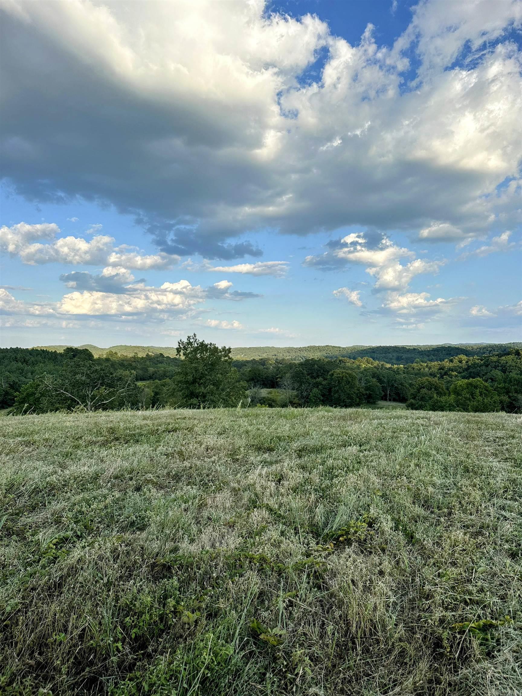 Unk Polk Road 62  Mena, AR