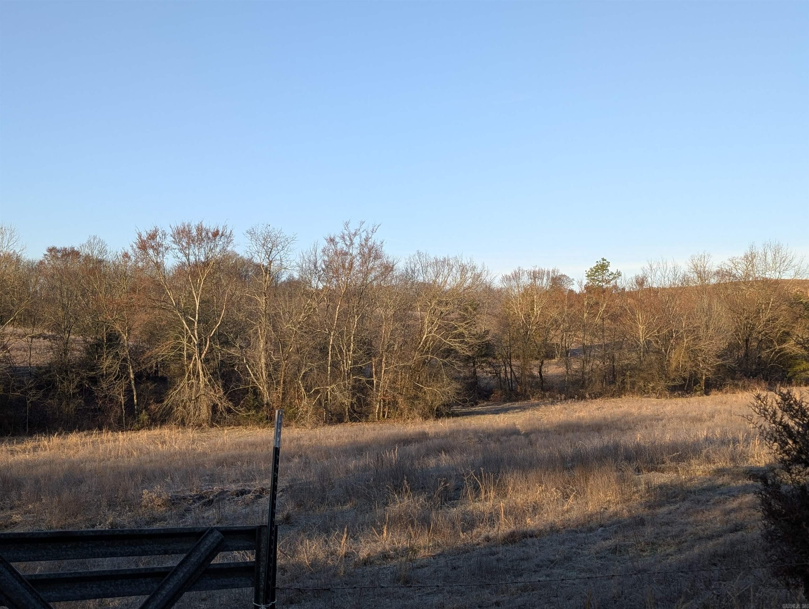 Unk  Polk Road 62  Mena, AR